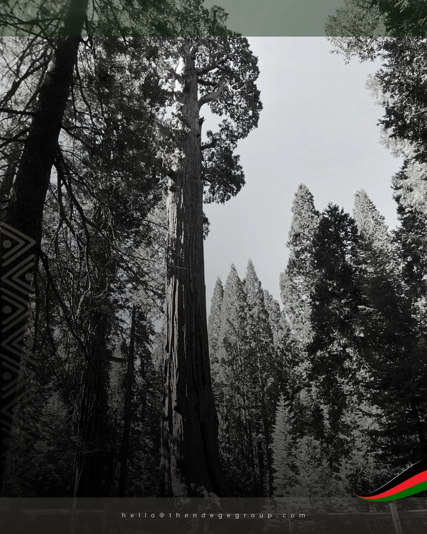 Plant trees whose shade you will never sit beneath. Not as obligation, but as inheritance. Reforestation programmes across Africa restore watersheds, prevent erosion, and sequester carbon. The work compounds across generations. Stewardship transcends