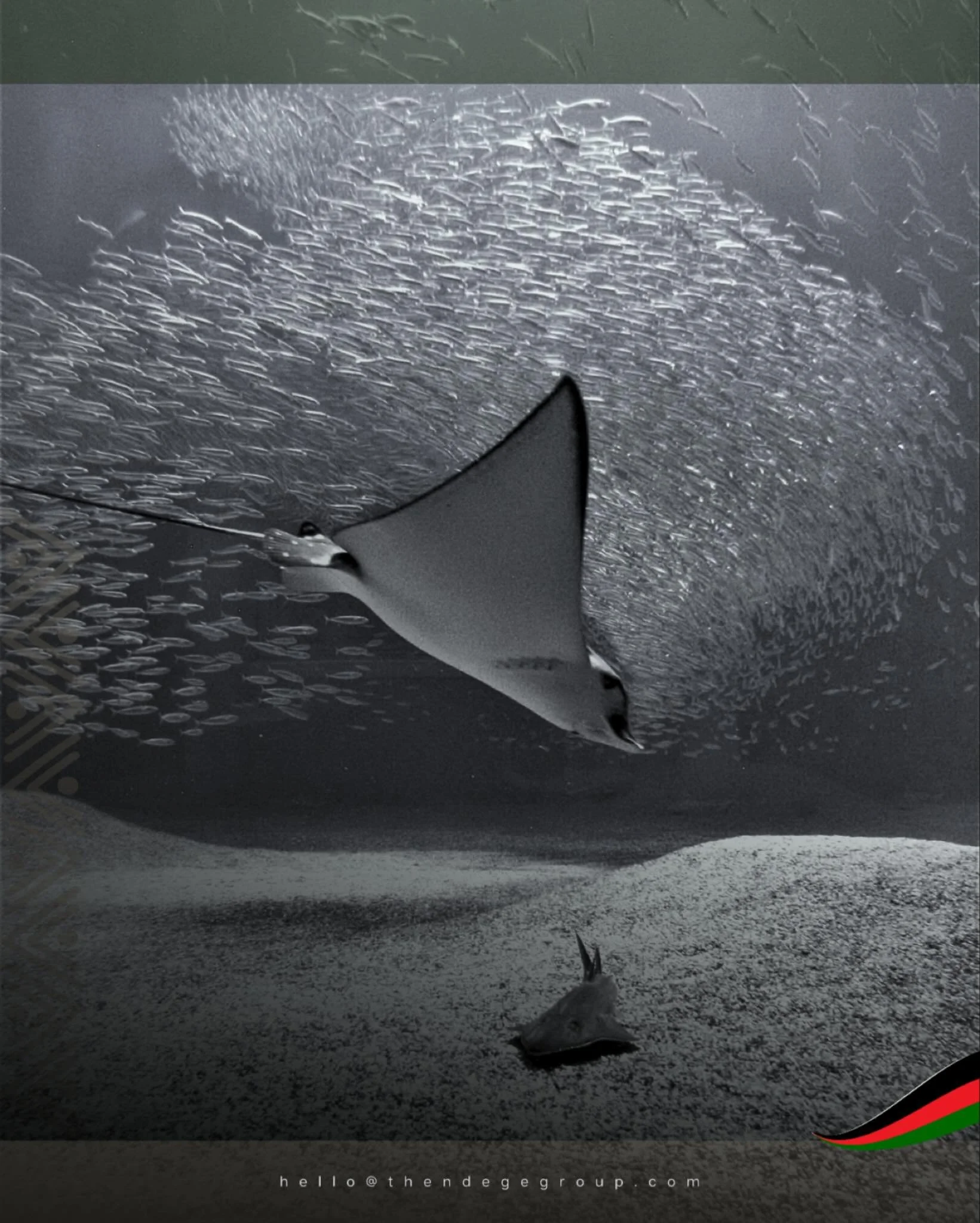 Development infrastructure requires equitable continental distribution. The Ndege Foundation&copy; coordinates aquarium and arena projects across multiple jurisdictions. Current tender open on DevelopmentAid: https://www.developmentaid.org/tenders/vi