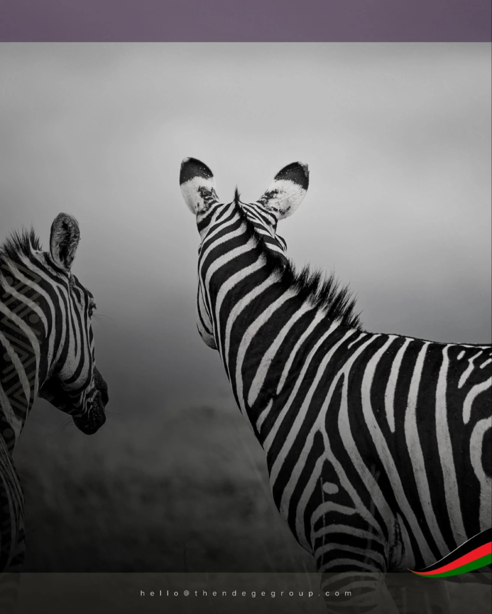 ASDT&rsquo;s #UnitedAfricanDefenceForce coordinates defence ministries across Congo, Burundi, Lesotho, Liberia, Nigeria, Somalia, and more to safeguard continental assets: from inter-human conflicts to natural resource protection. Vigilance protects 