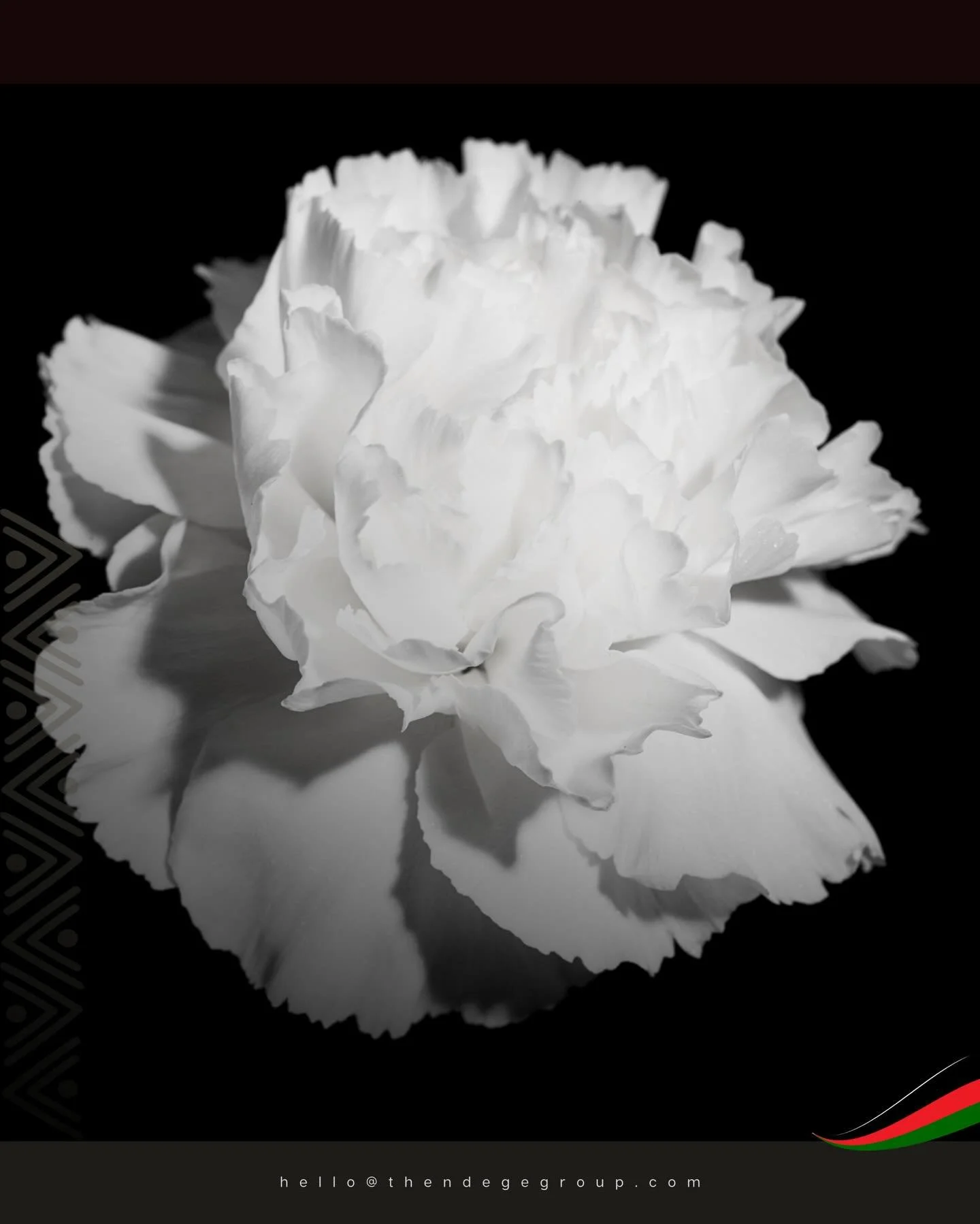 #AfricanExcellenceSpotlight: Mr. Basheer &amp; Mr. Ehiya, Founder and Chair of Black Tulip Flowers, have demonstrated what ethical impact investment produces across three decades. Their exports become available through Ndege MarketPlace&copy; from Q3