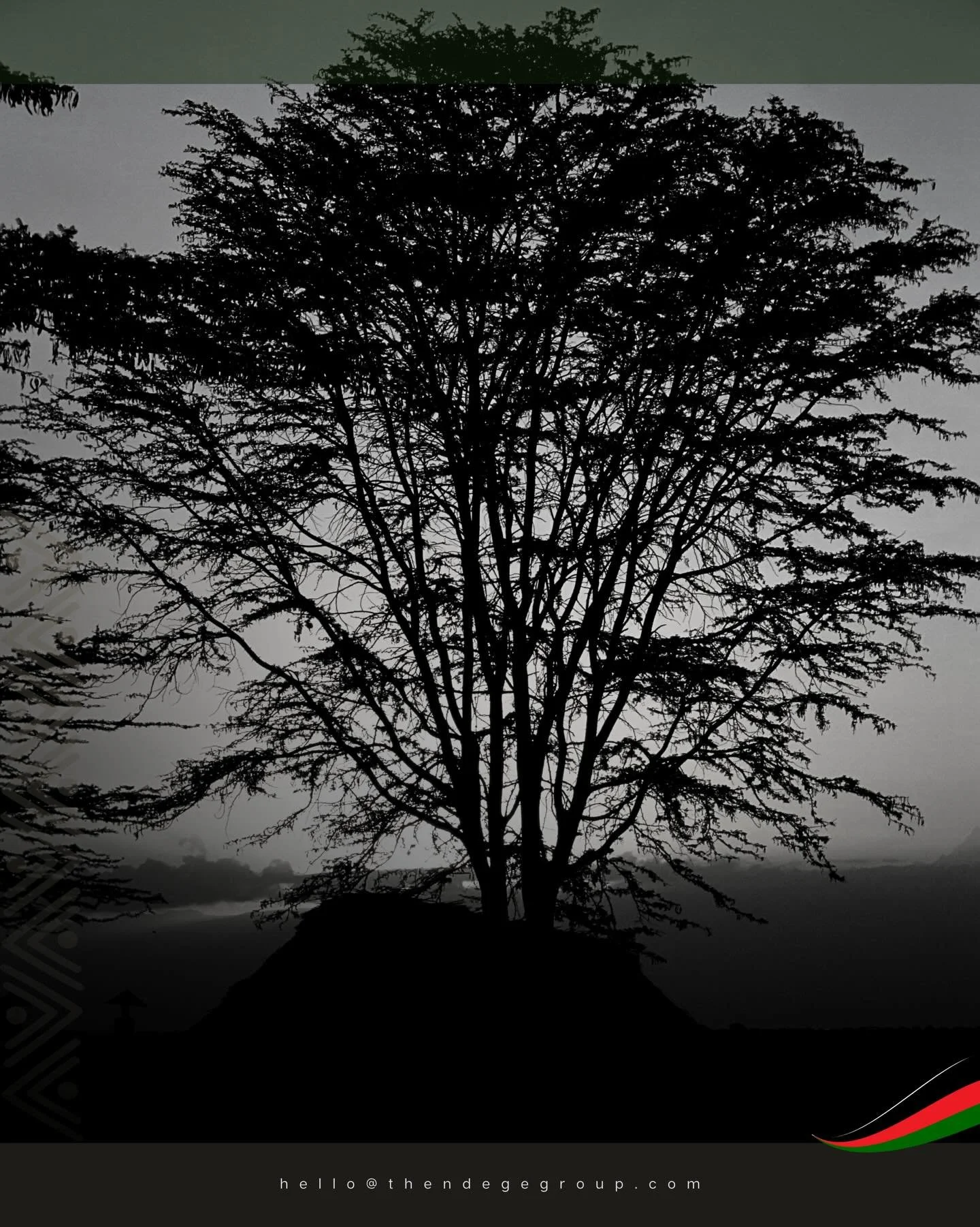 Nature provides endlessly. The reciprocal responsibility rests with humanity. Plant a tree, shelter birds, offer shade to future generations, give the planet mechanisms to heal from industrial consequence. The Ndege Foundation&copy; coordinates refor