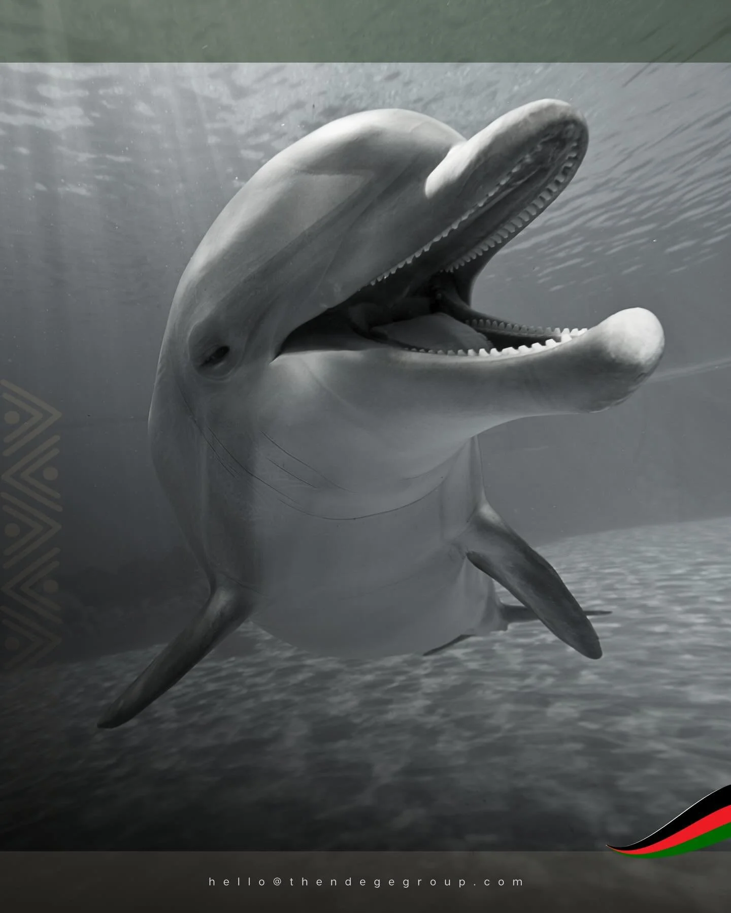 Africa&rsquo;s Sovereign Development Trust&reg; has entered negotiations with @kenyawildlifeservice to establish #NdegeAquarium, East and Central Africa&rsquo;s premier public aquarium with free-access to students at the new KWS Safari Walk site acro