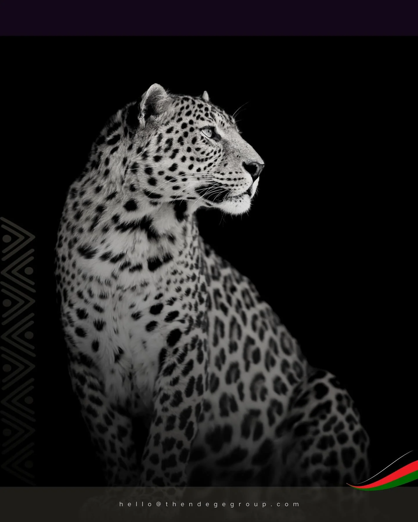 African leopards are solitary apex predators capable of hauling prey twice their body weight into trees, protecting kills from scavengers. Witness power through #LuxuryEscapes. Our concierge team designs and manages bespoke #helicoptersafaris in Afri