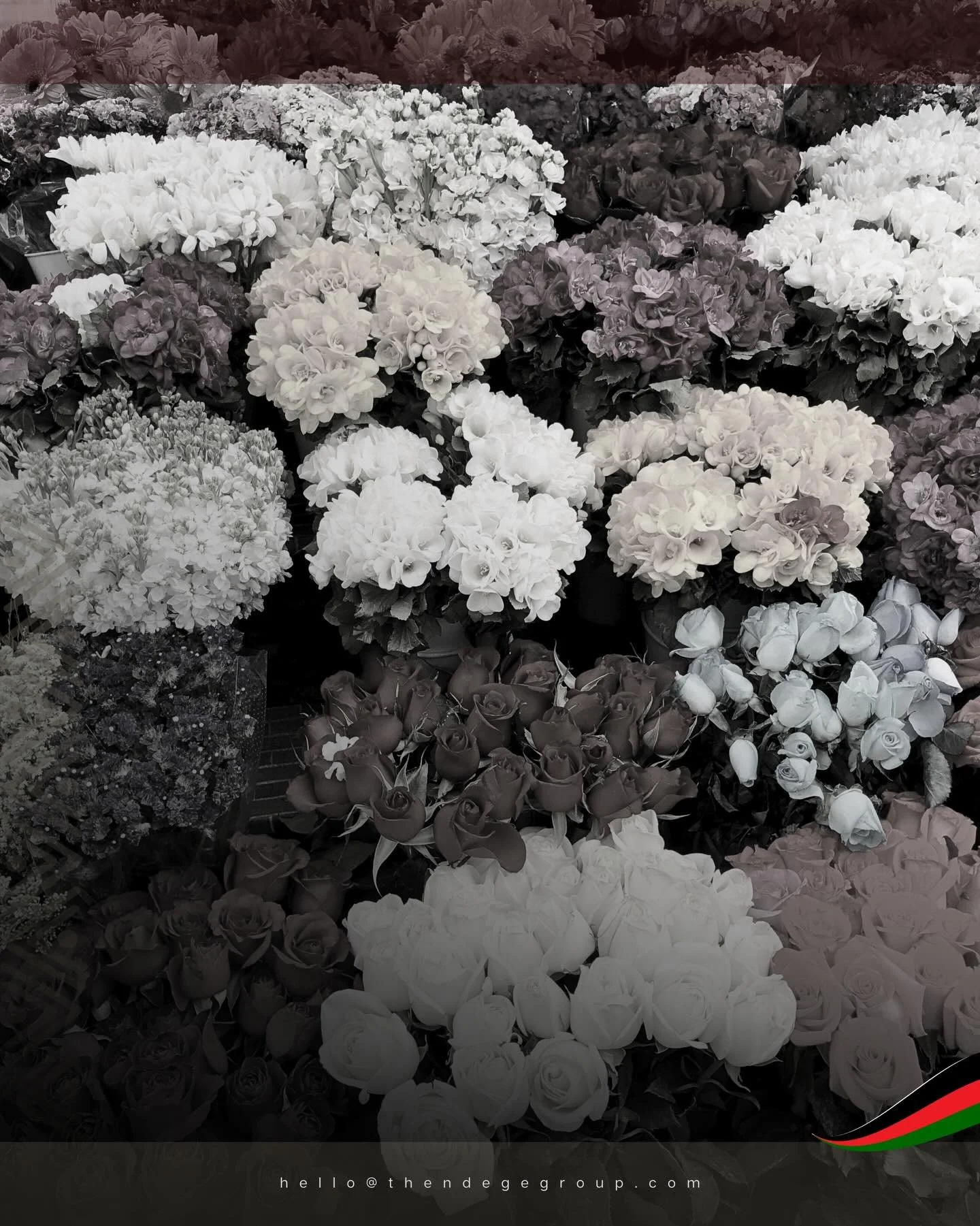 ASDT&rsquo;s #OmniGaza&copy; blockchain platform launching Q3 2026 digitises auctions for tea, coffee and flowers through syndication functionality. Traditional auction systems benefitting these commodities now operate through secure clicks and assur