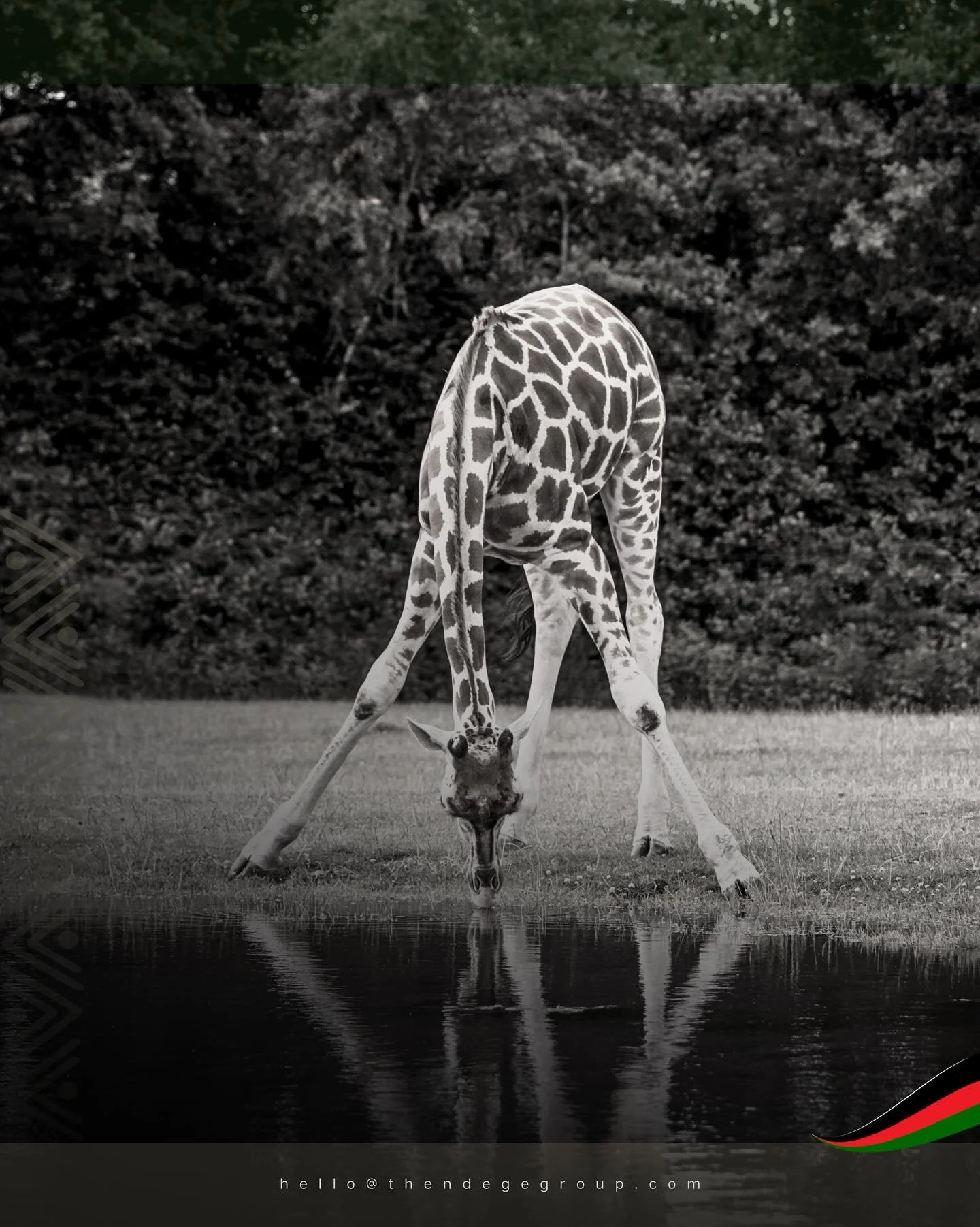 Africa&rsquo;s Sovereign Development Trust&reg; (ASDT) proudly announces a significant milestone in its mission to advance continental sovereignty. Established in 2022 and domiciled as an irrevocable purpose trust in the Seychelles, with operational 