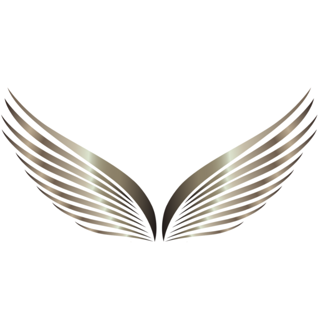 The Ndege Group | Africa’s Sovereign Development Trust℠