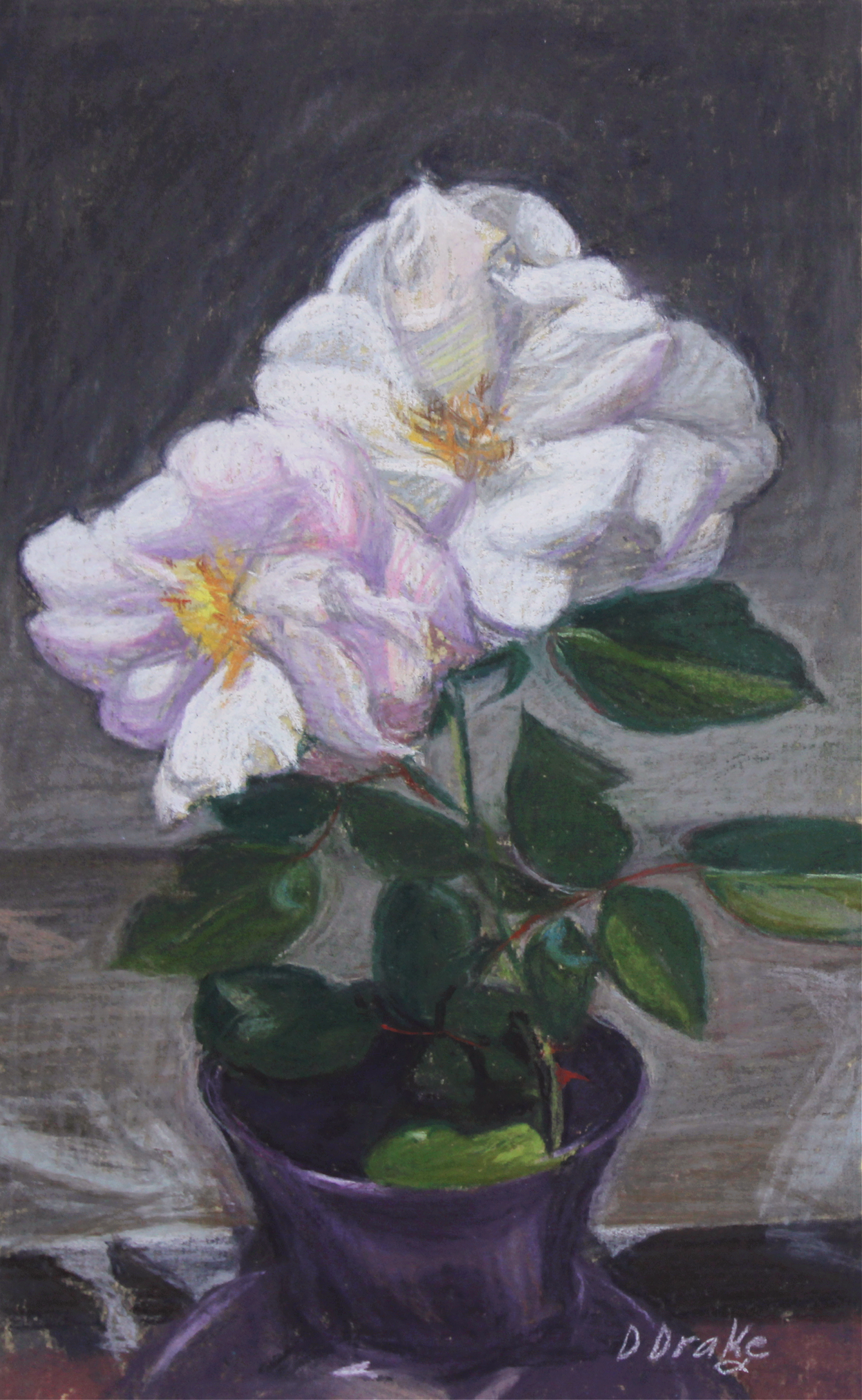 Garden Peonies.png