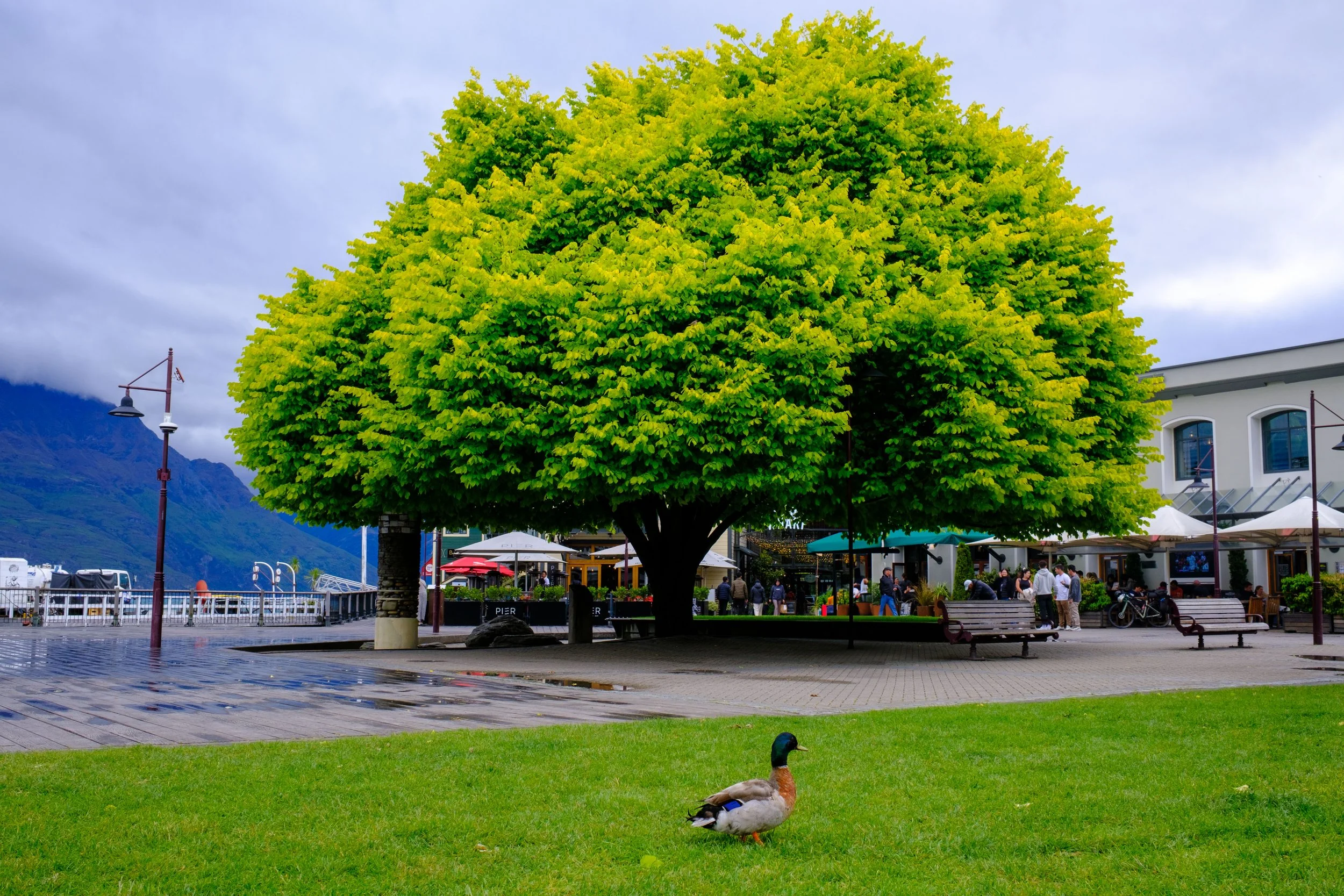 DSCF0773.jpg