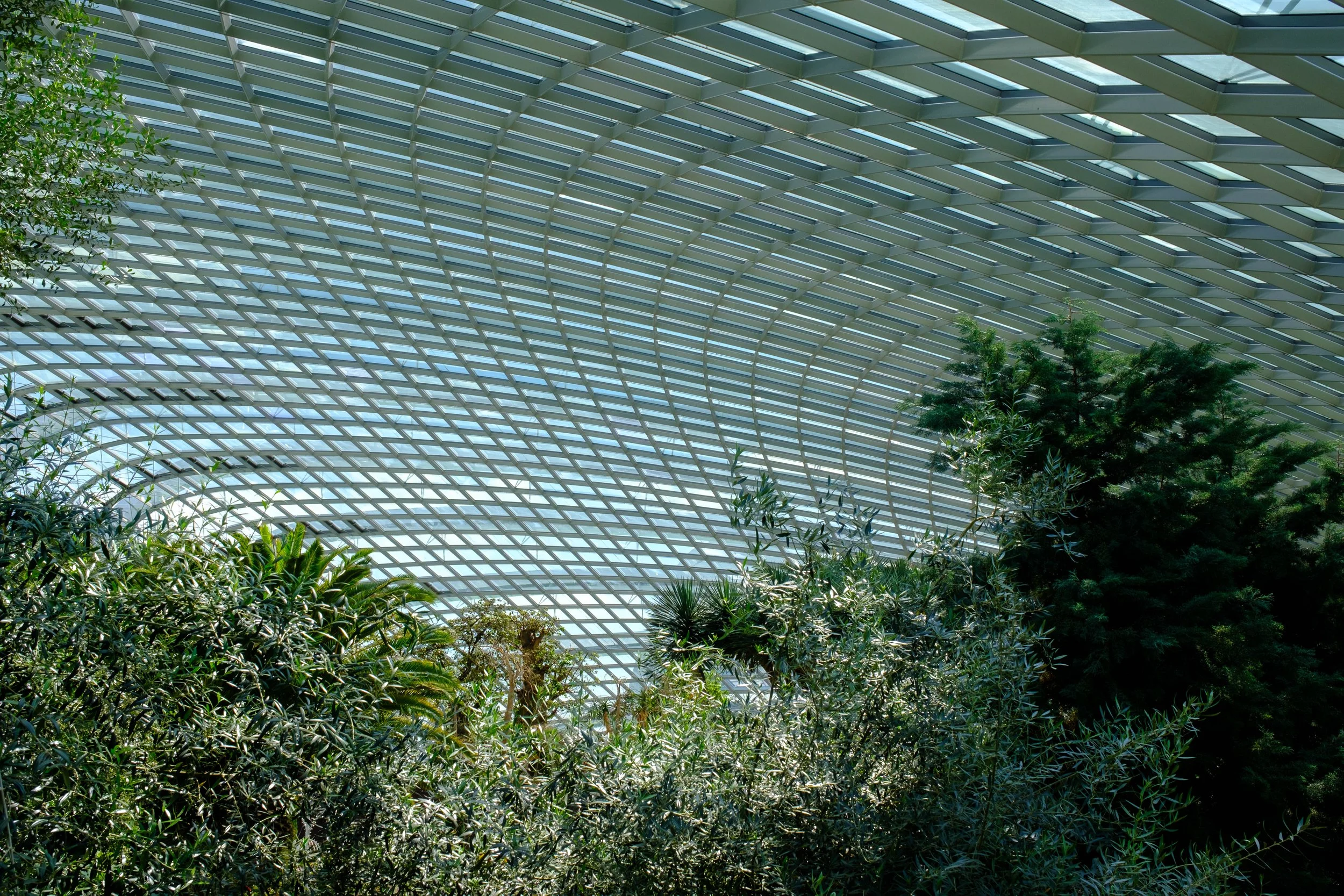 DSCF3403.jpg