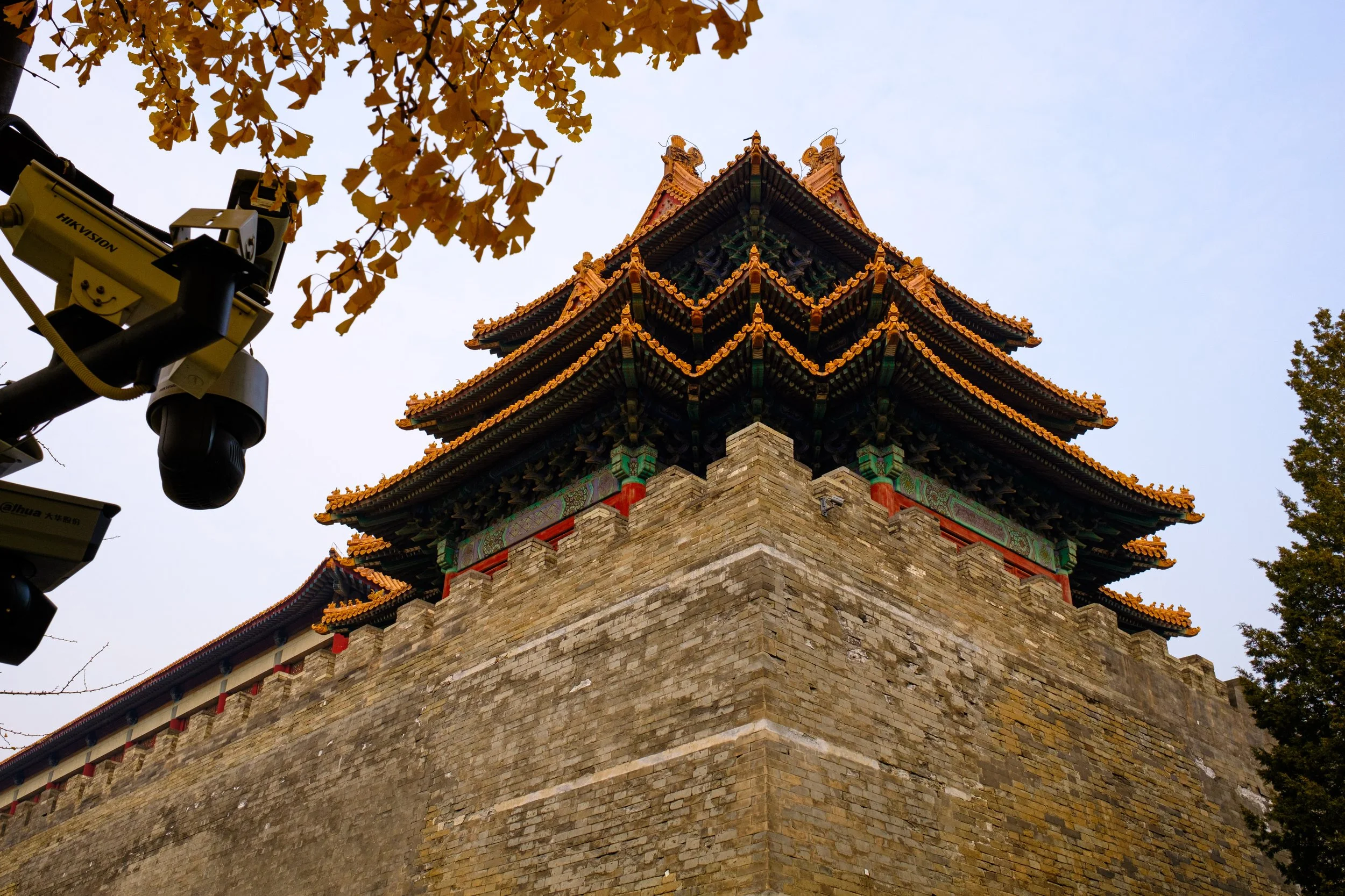 DSCF7060.jpg