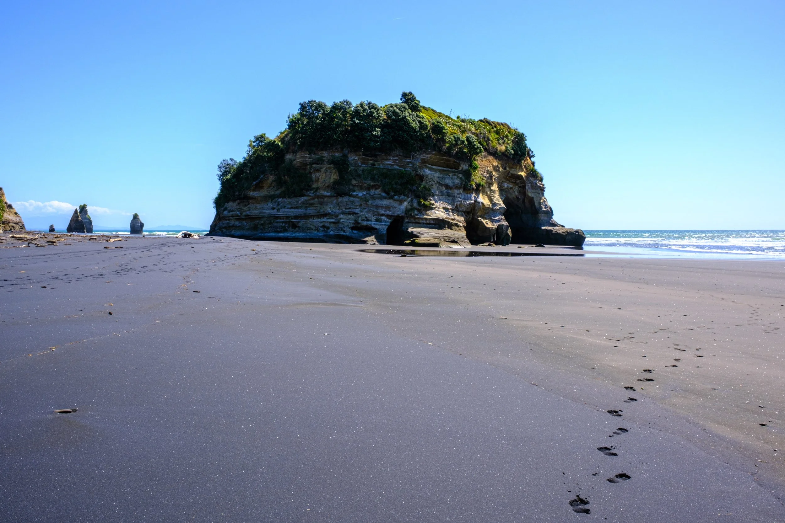 DSCF8644.jpg