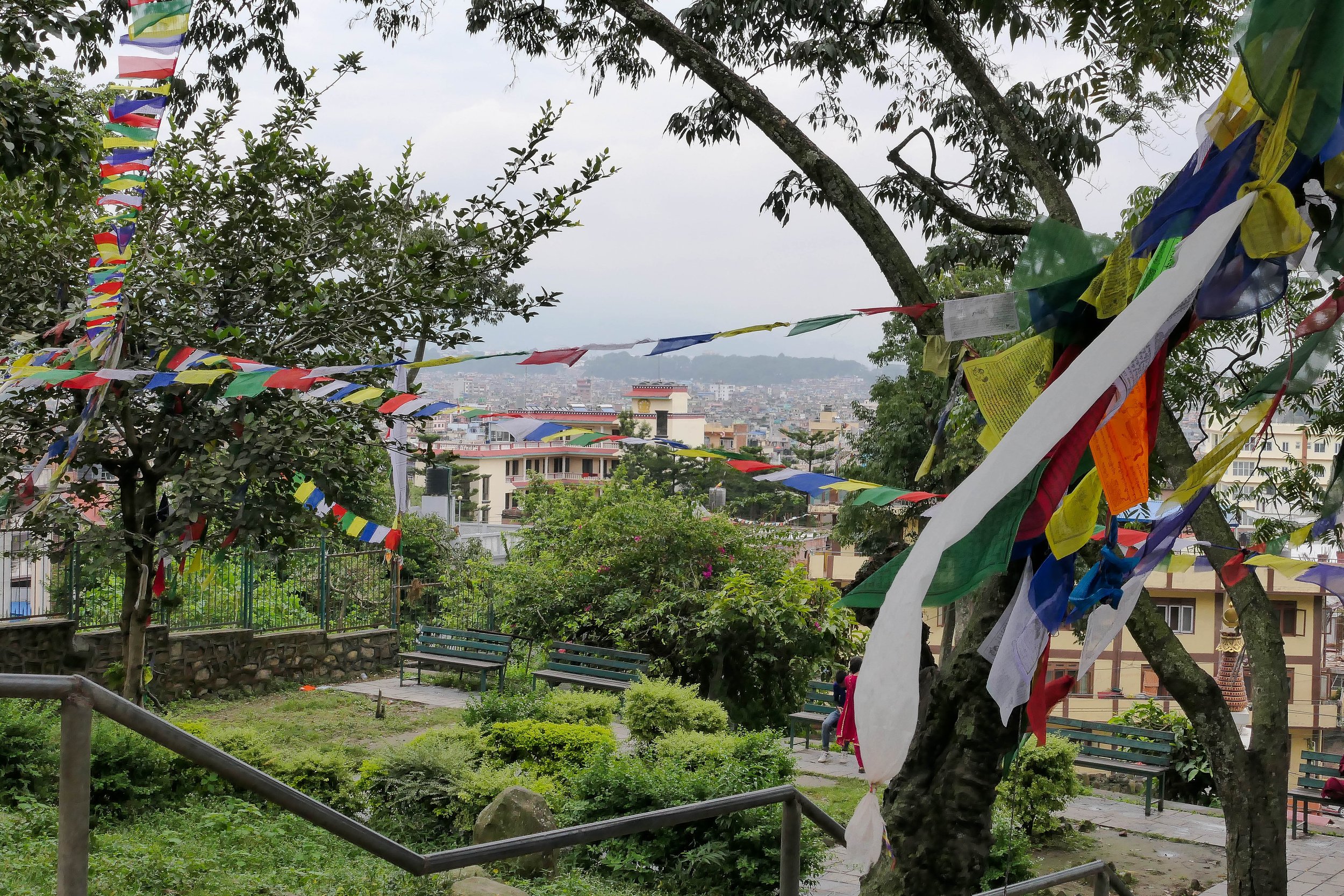 L1111222.jpg