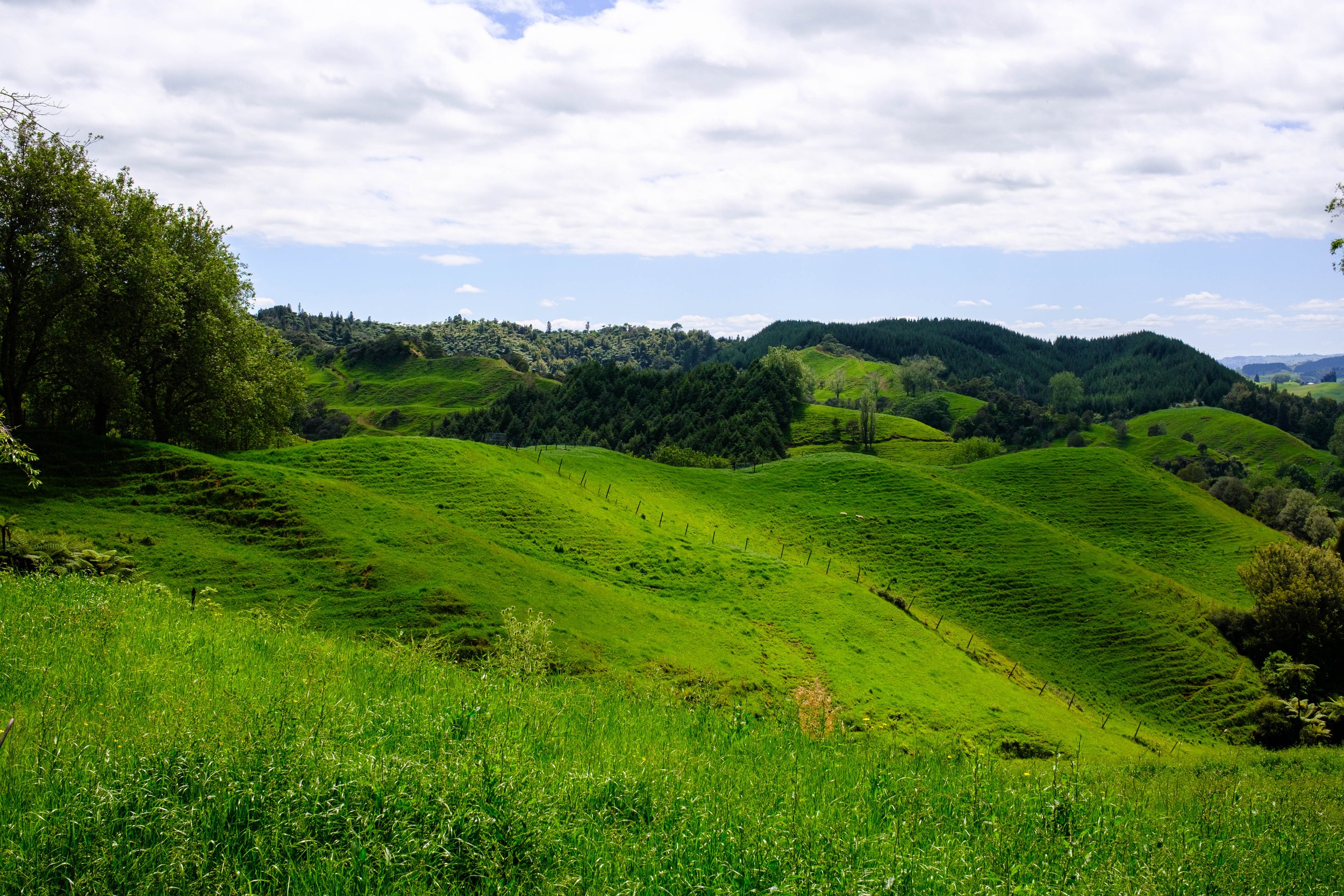 DSCF8569.jpg