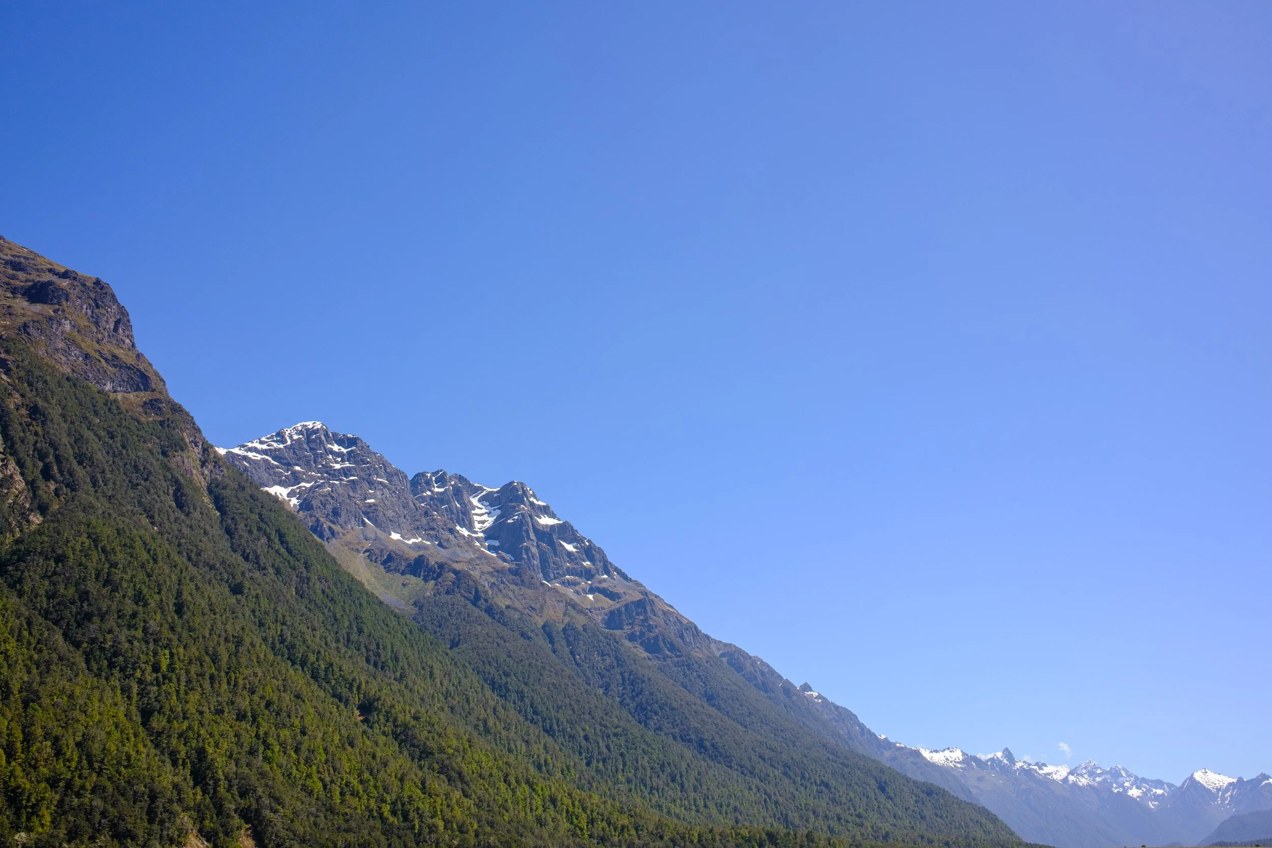 DSCF0939.jpg