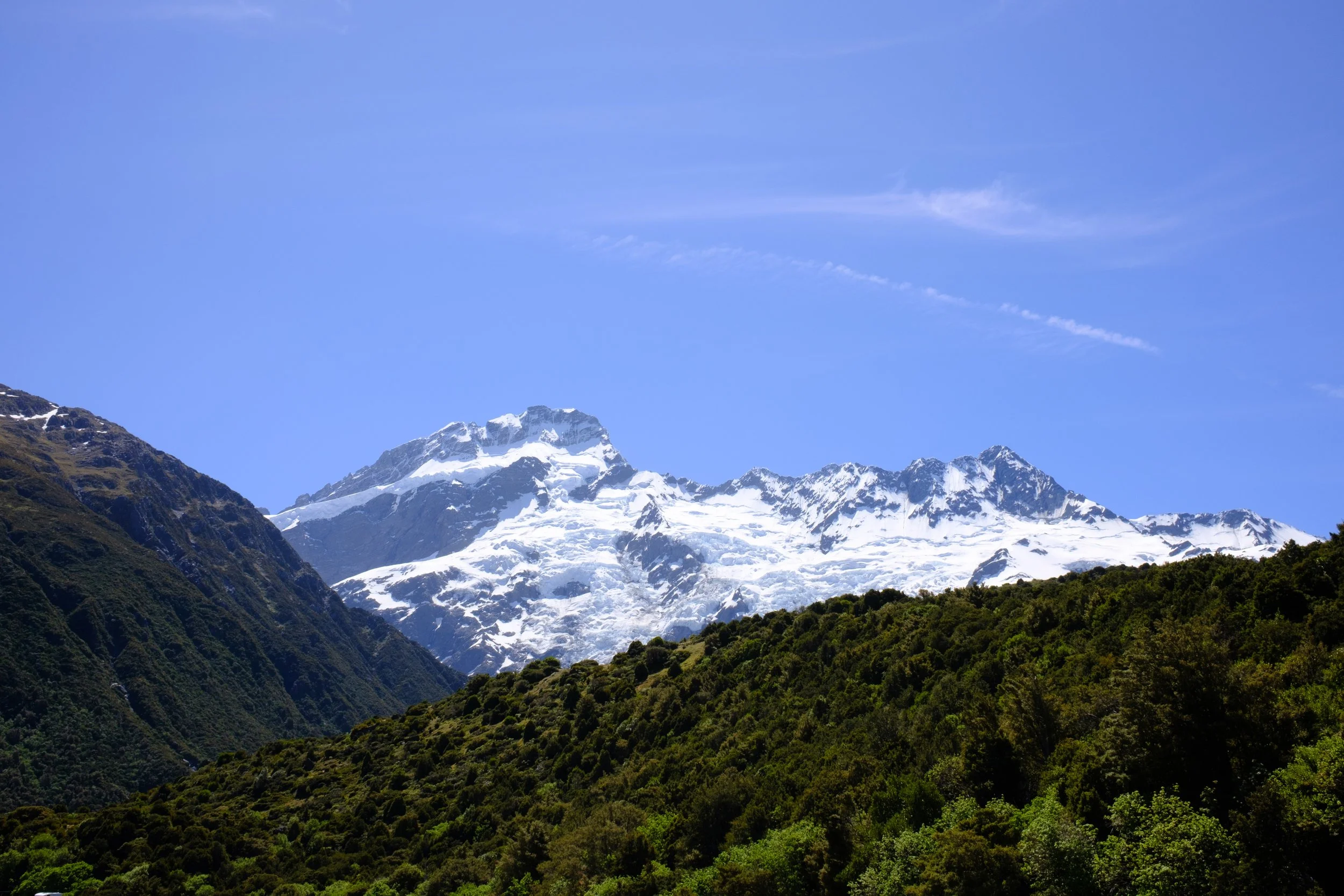 DSCF2045.jpg