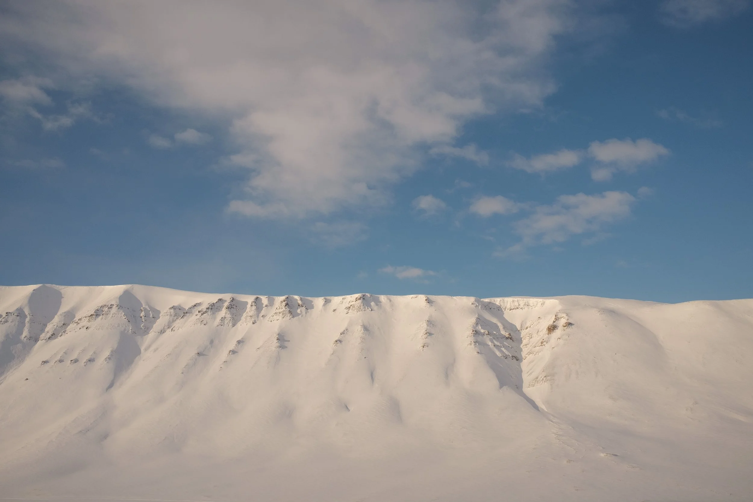 DSCF7553.jpg