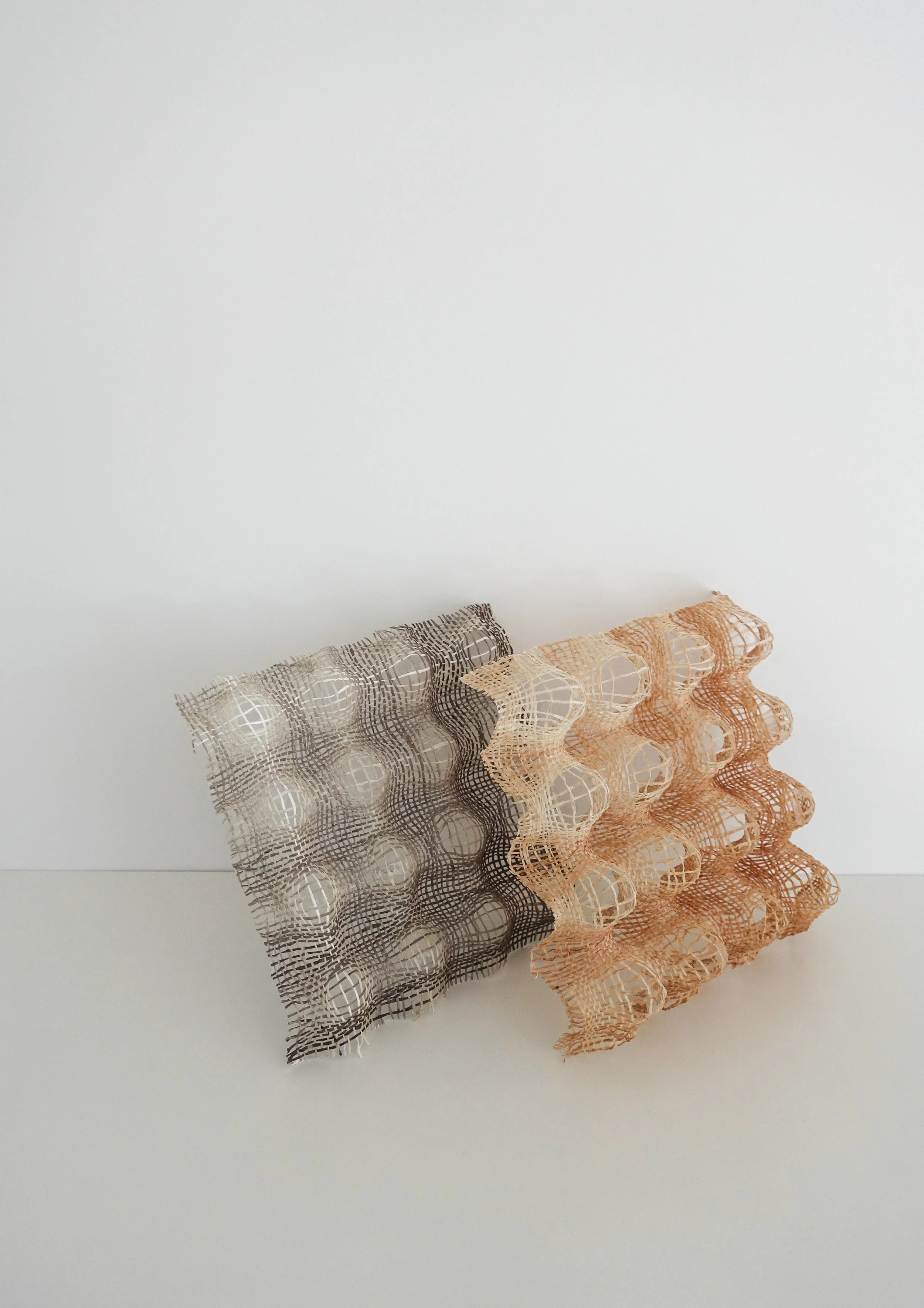 DSC01427 copy 2-2.jpg