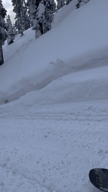 video_1_0788d81093794b34b354fa5c4ae23a85 (1).gif