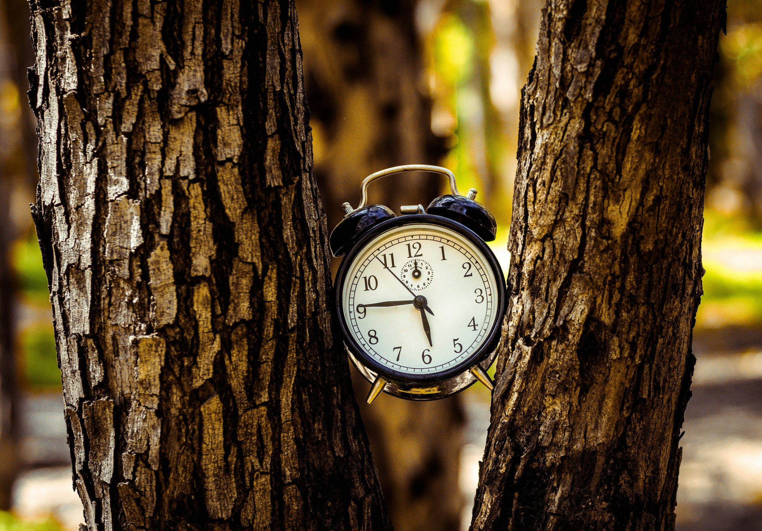 Mid-Year Money Check-In: 5 Things Every Wellness Business Should Do Now