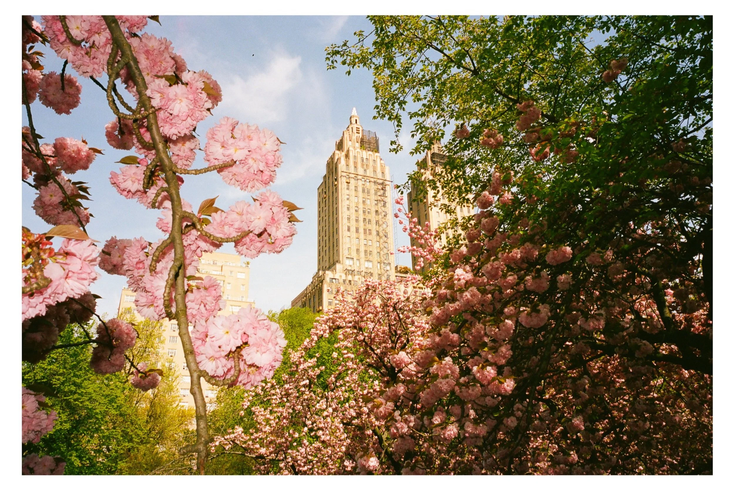 New York