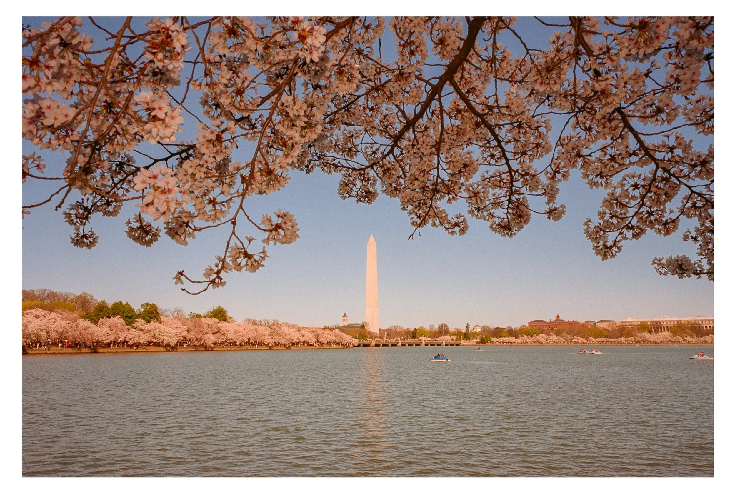 Washington D.C.