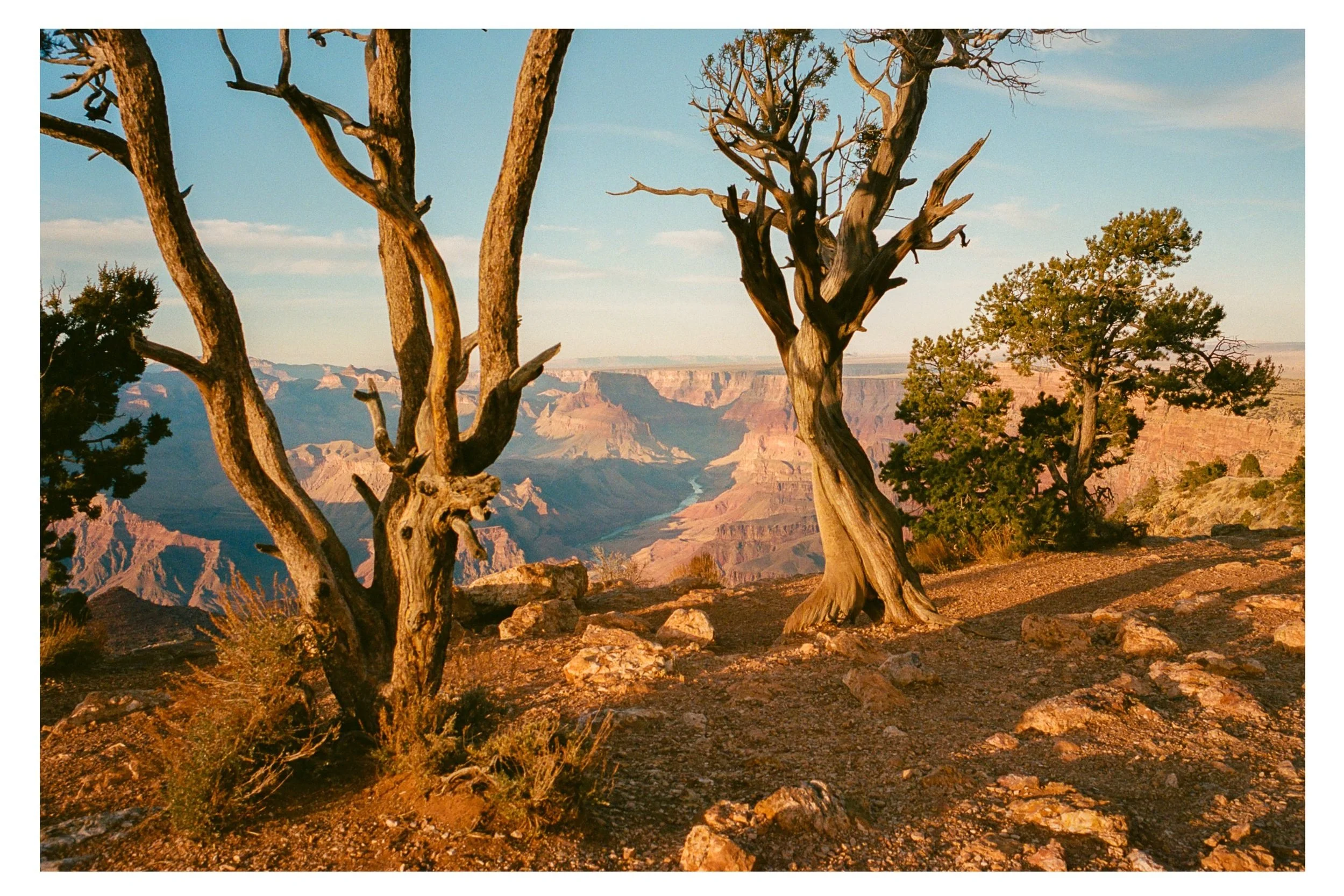 Arizona