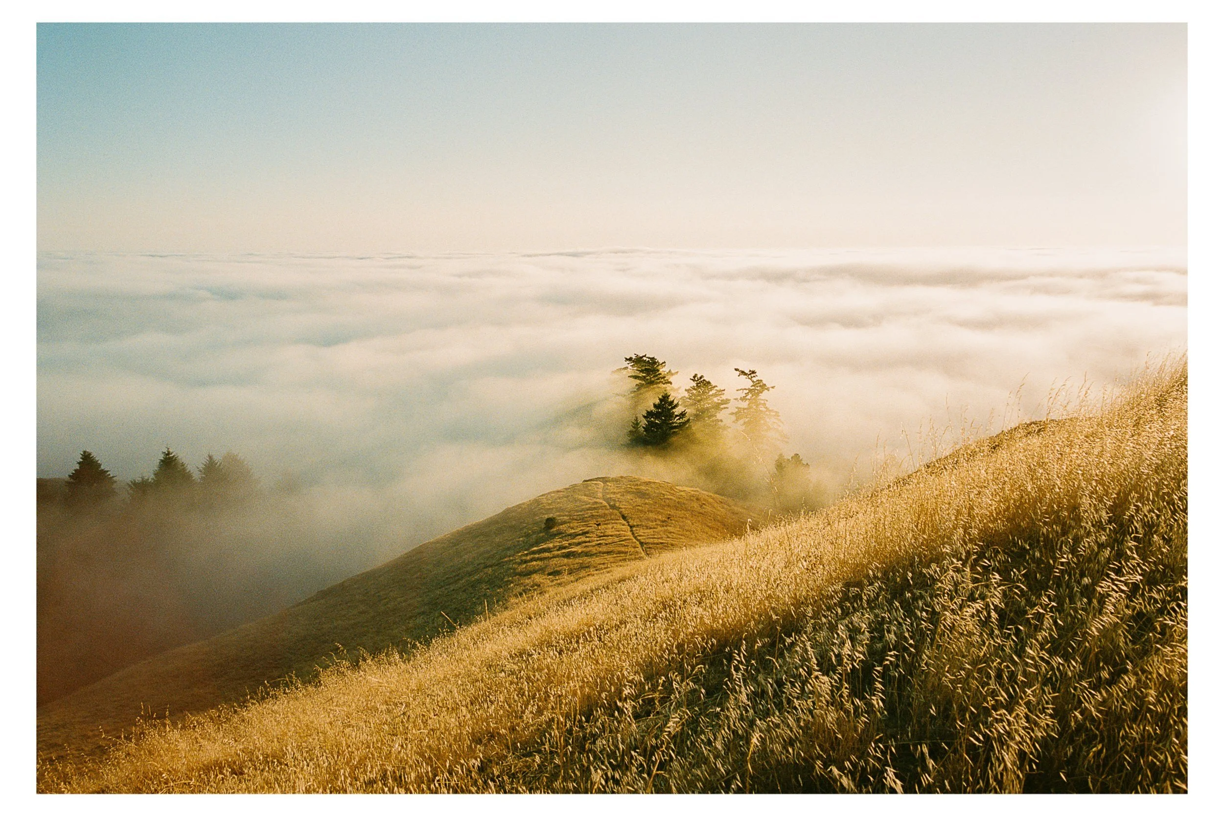 California