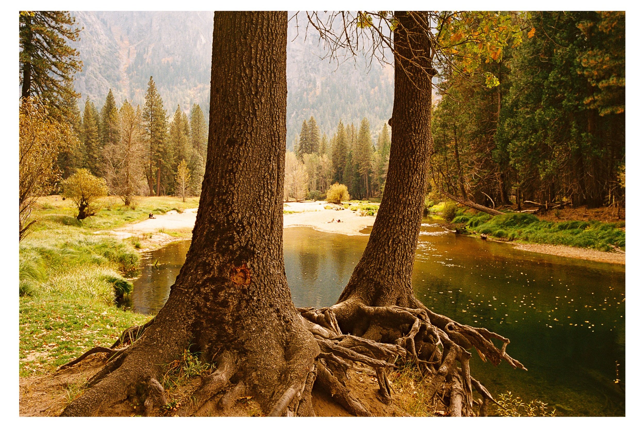 California