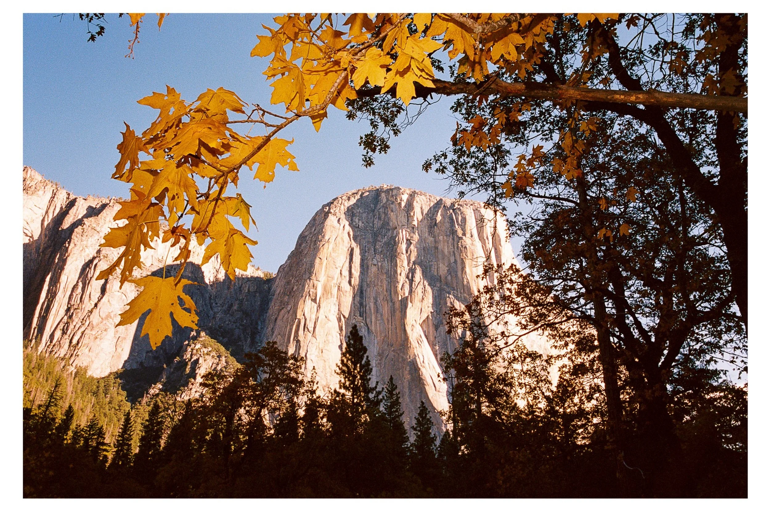 California