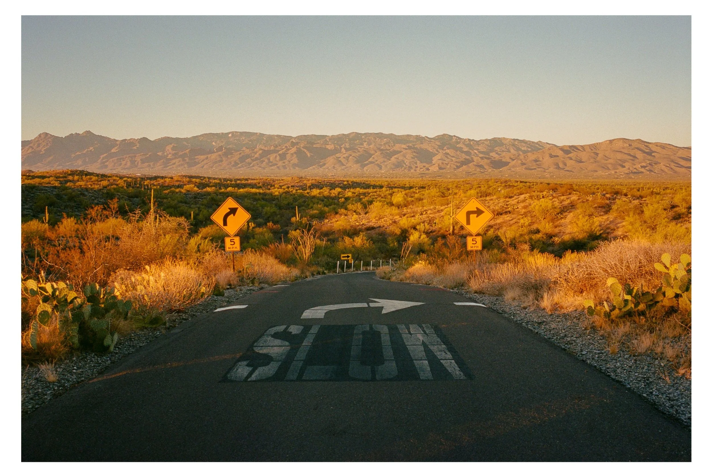 Arizona