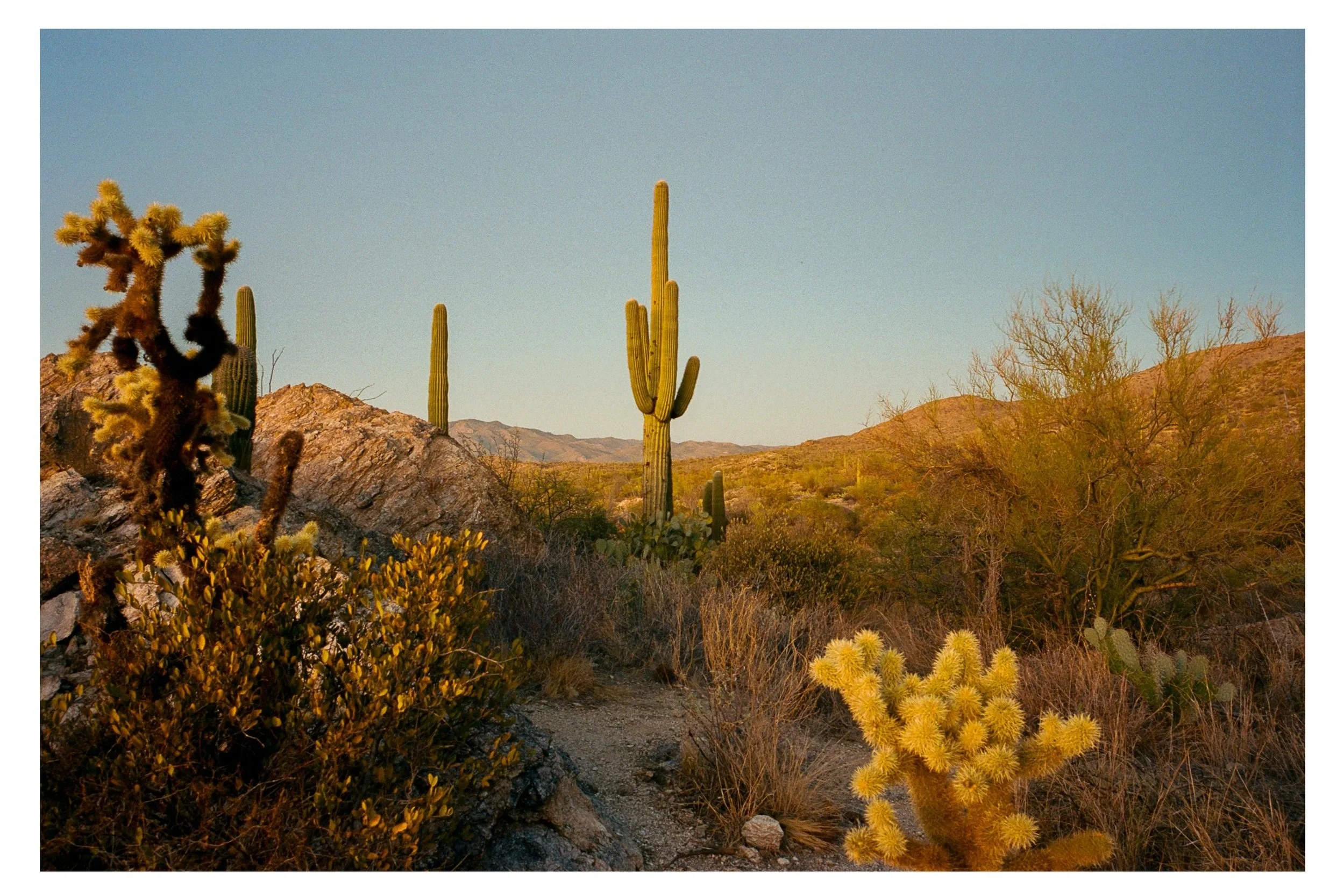 Arizona