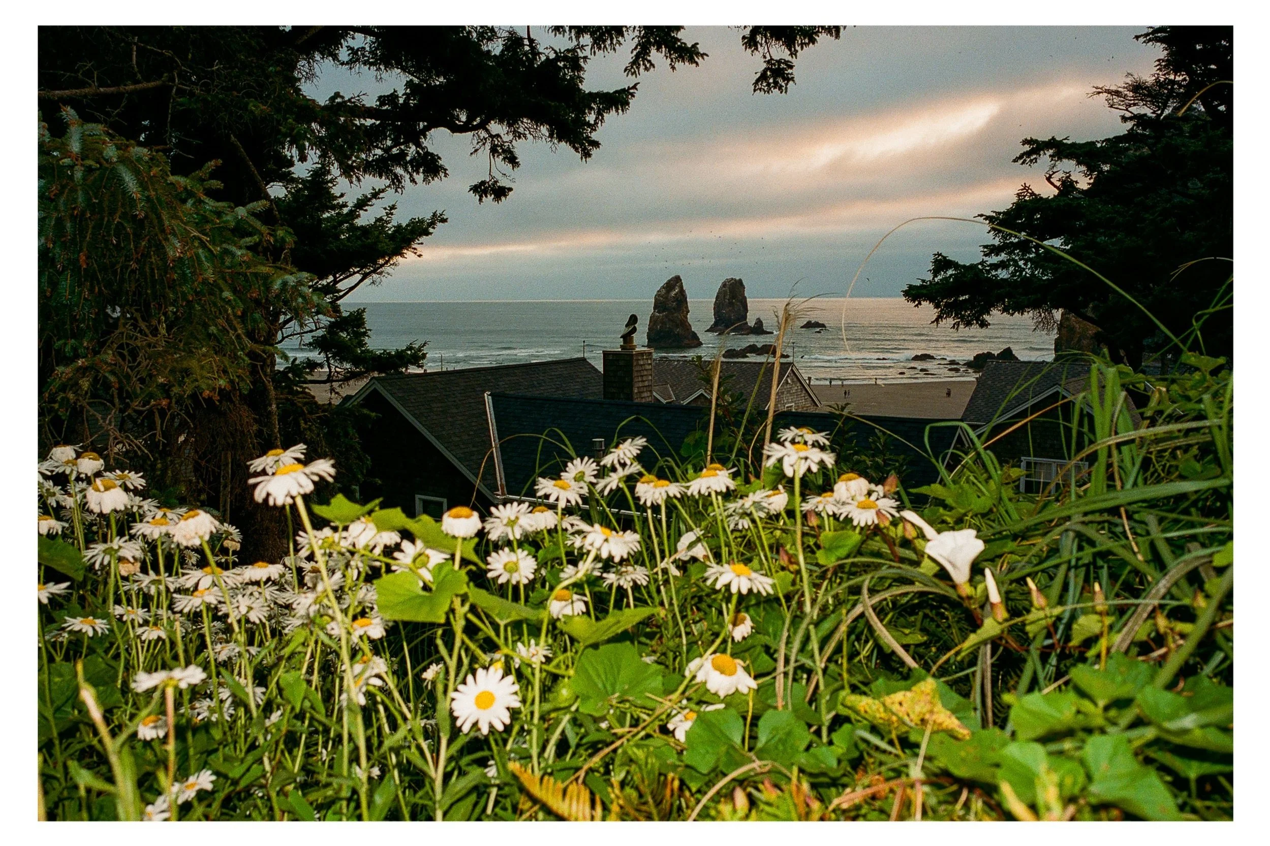Oregon