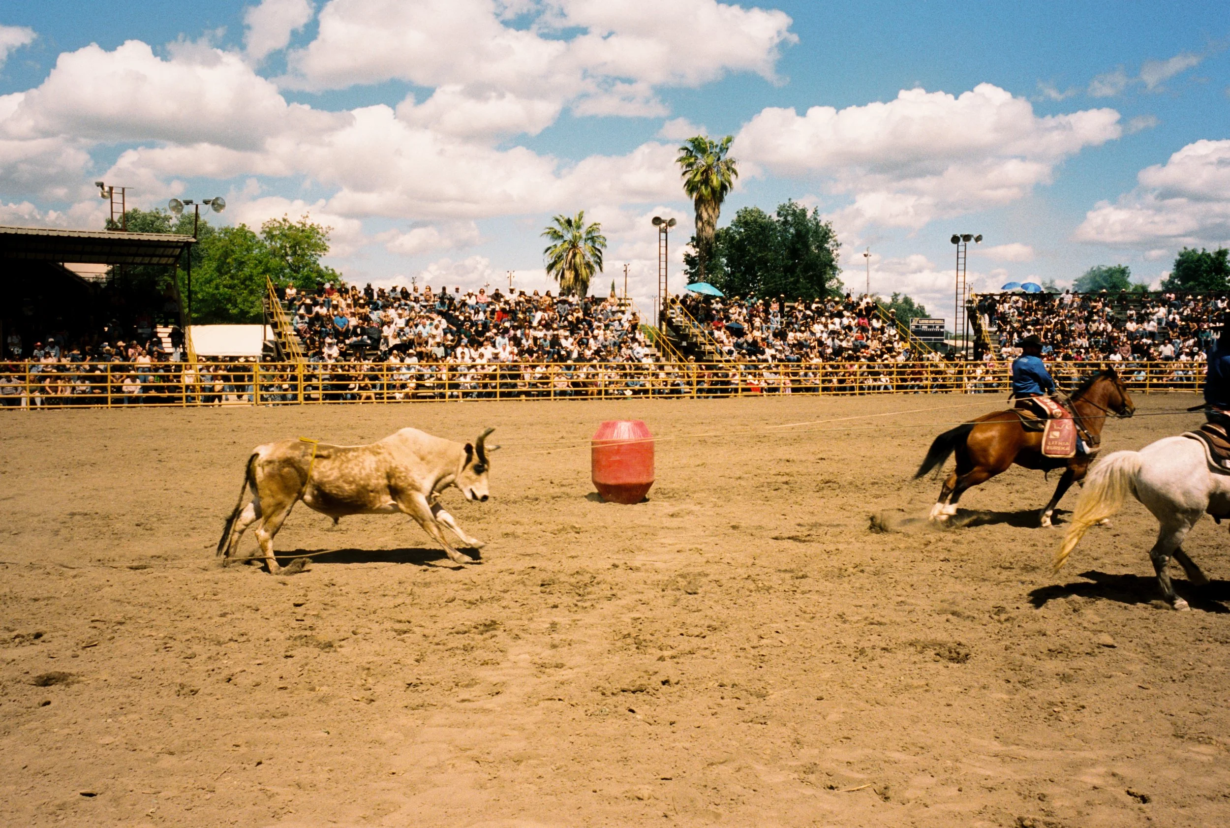 (94)H000023_conv.jpg