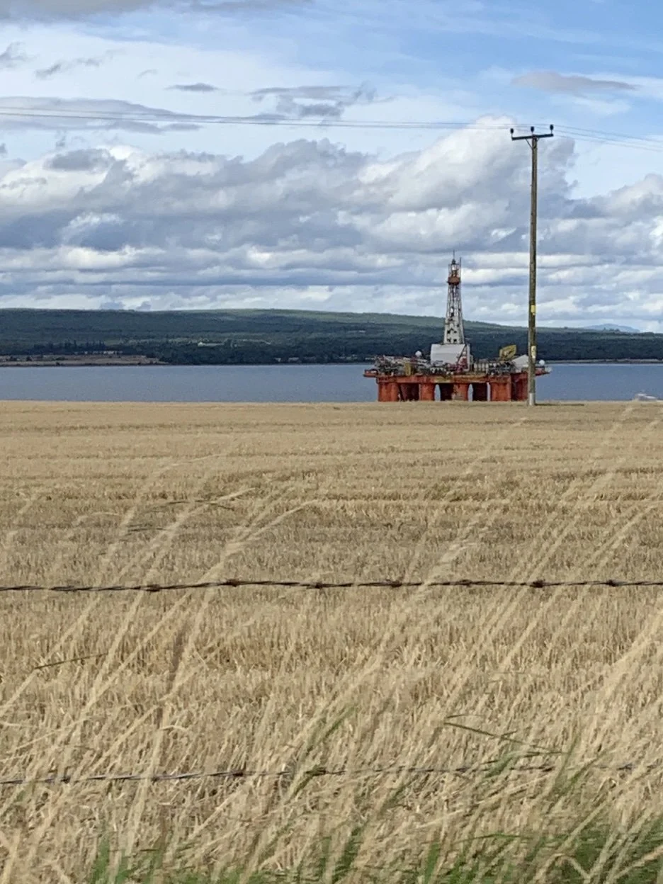 Thinking ahead and thinking behind.