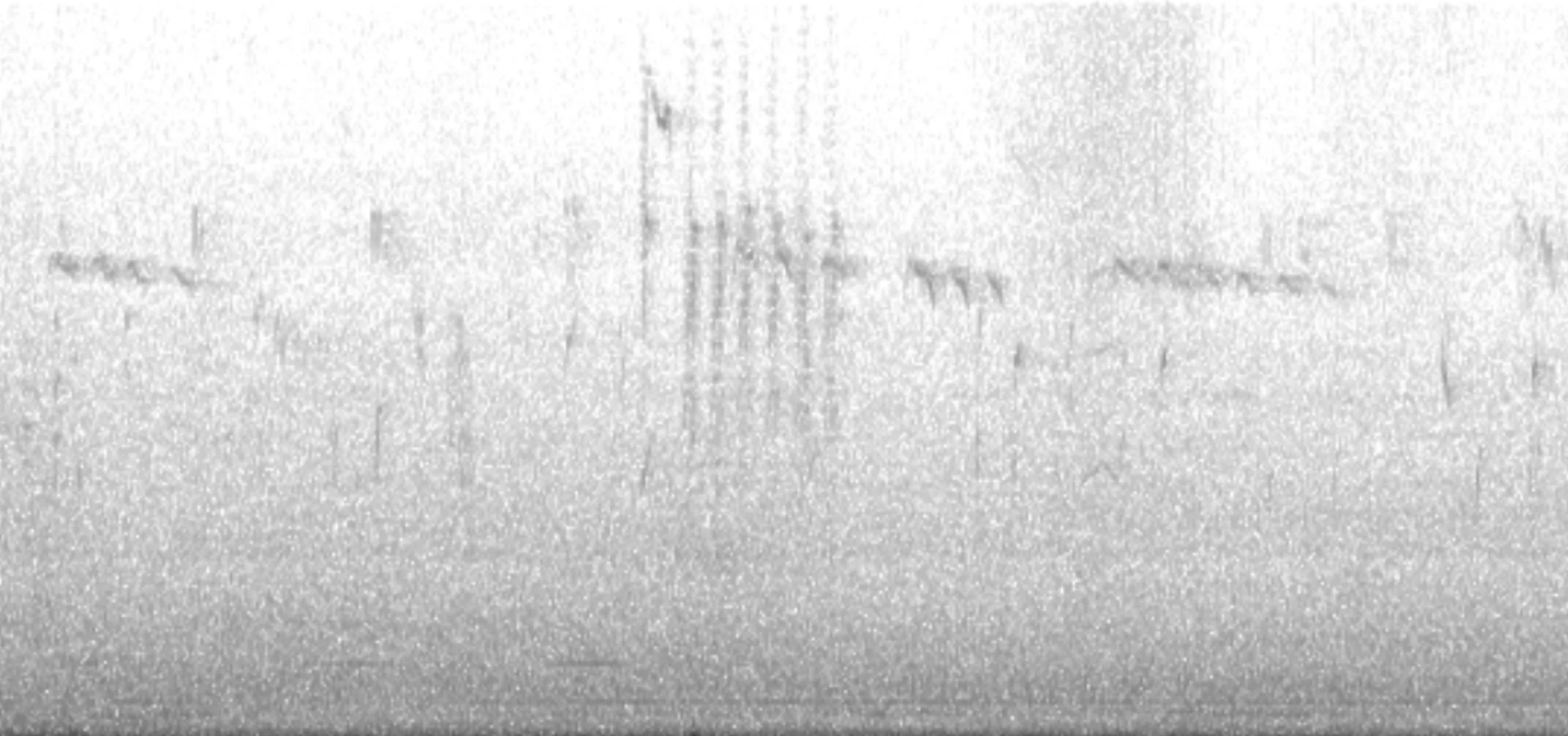 An elephant and an oak tree.