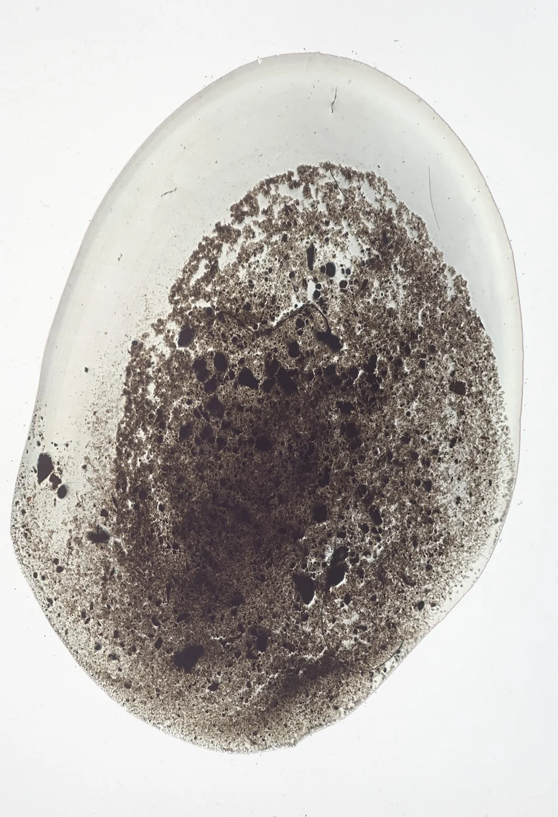 small_mud slide_2 copy.jpg