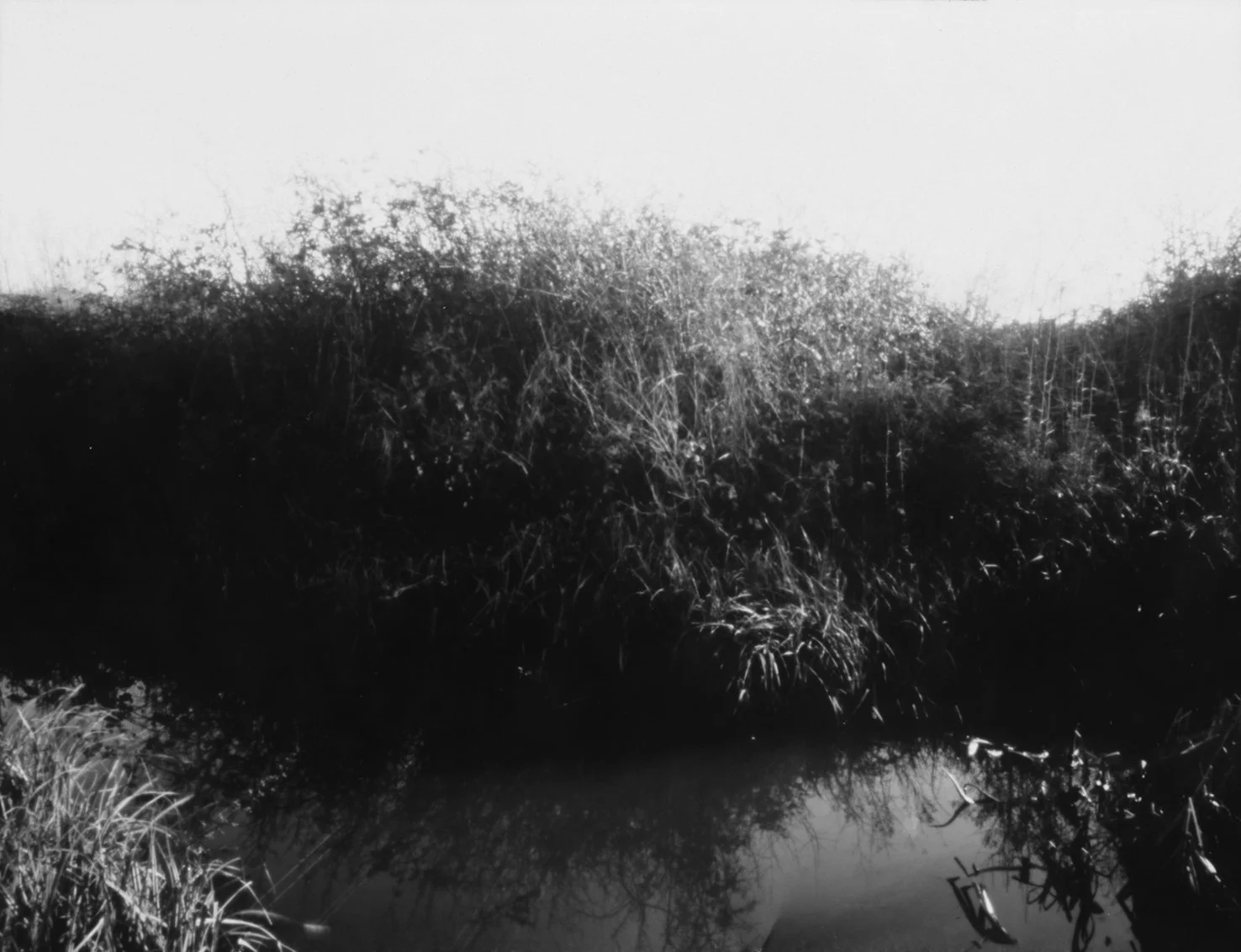 The Rubbish Tip Archive