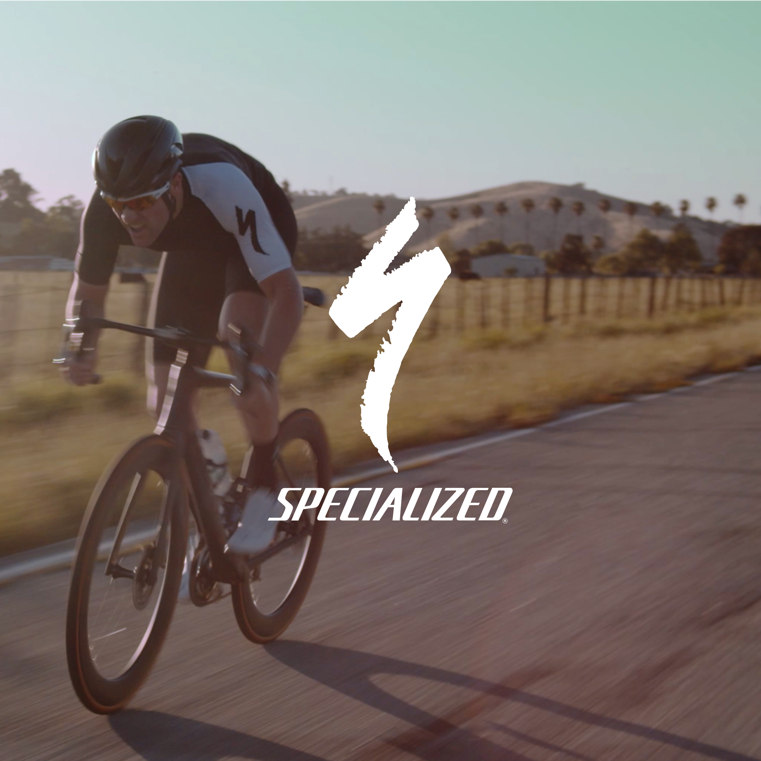 Specialized Bicycle Components