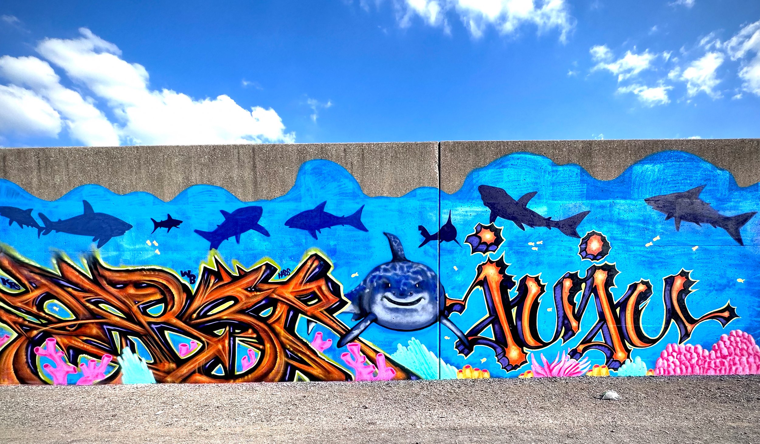 Sharks of St. Louis, 2023.