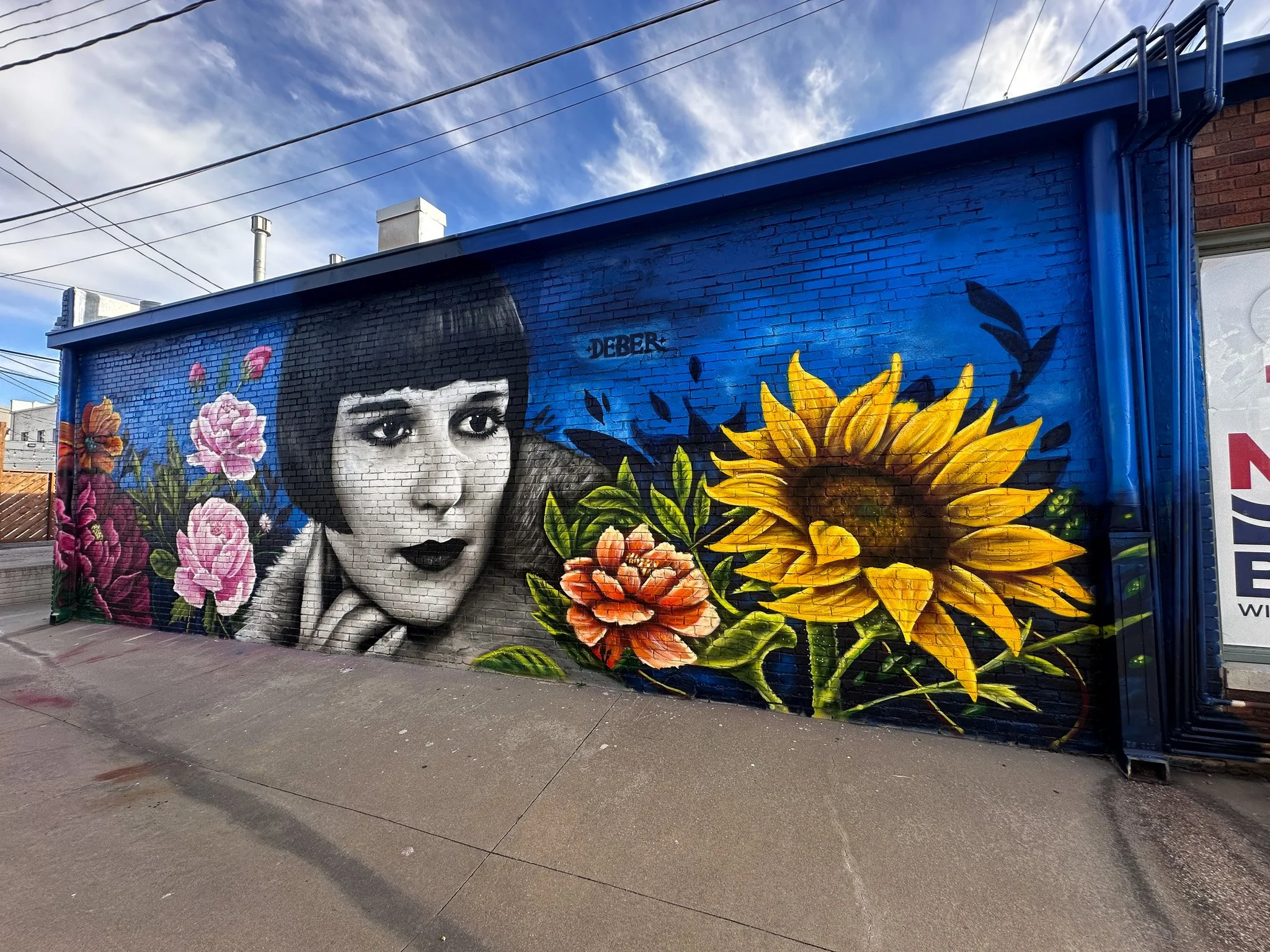 The Gaze of History - Louise Brooks, College Hill, Wichita KS.