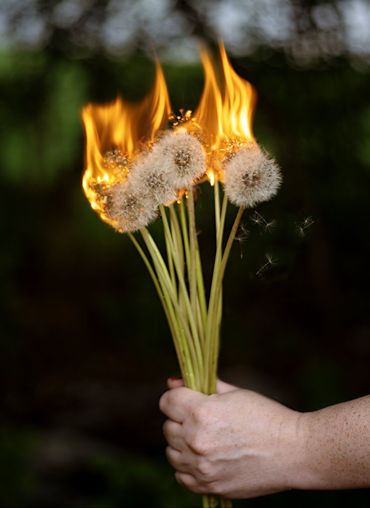 DandyonFireRTP16 copy.jpg