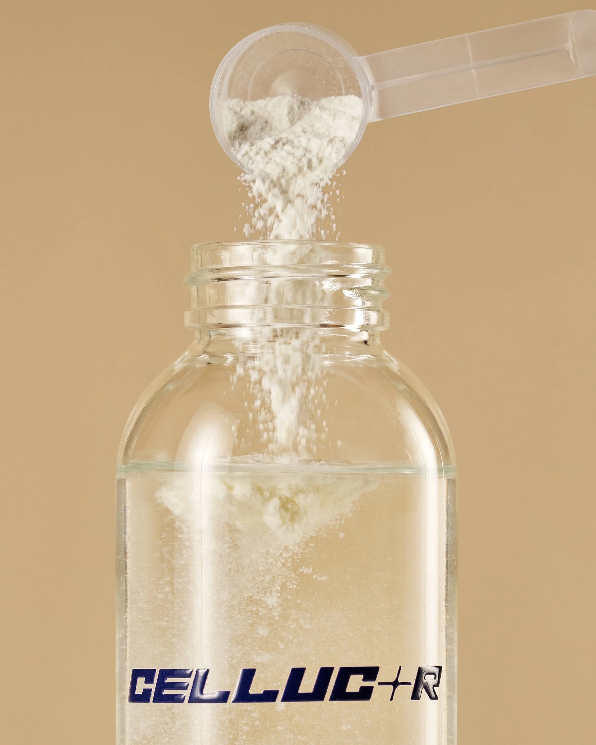 Creatine-Flavors_513.jpg