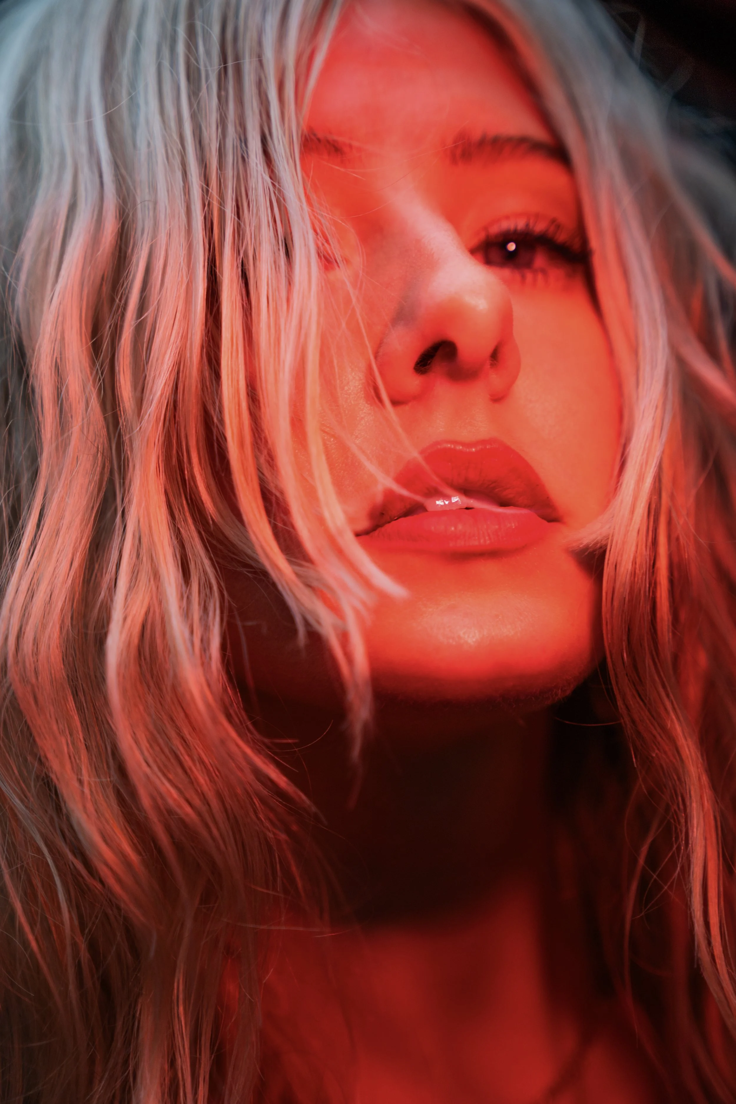 Capture One Catalog2762.jpeg