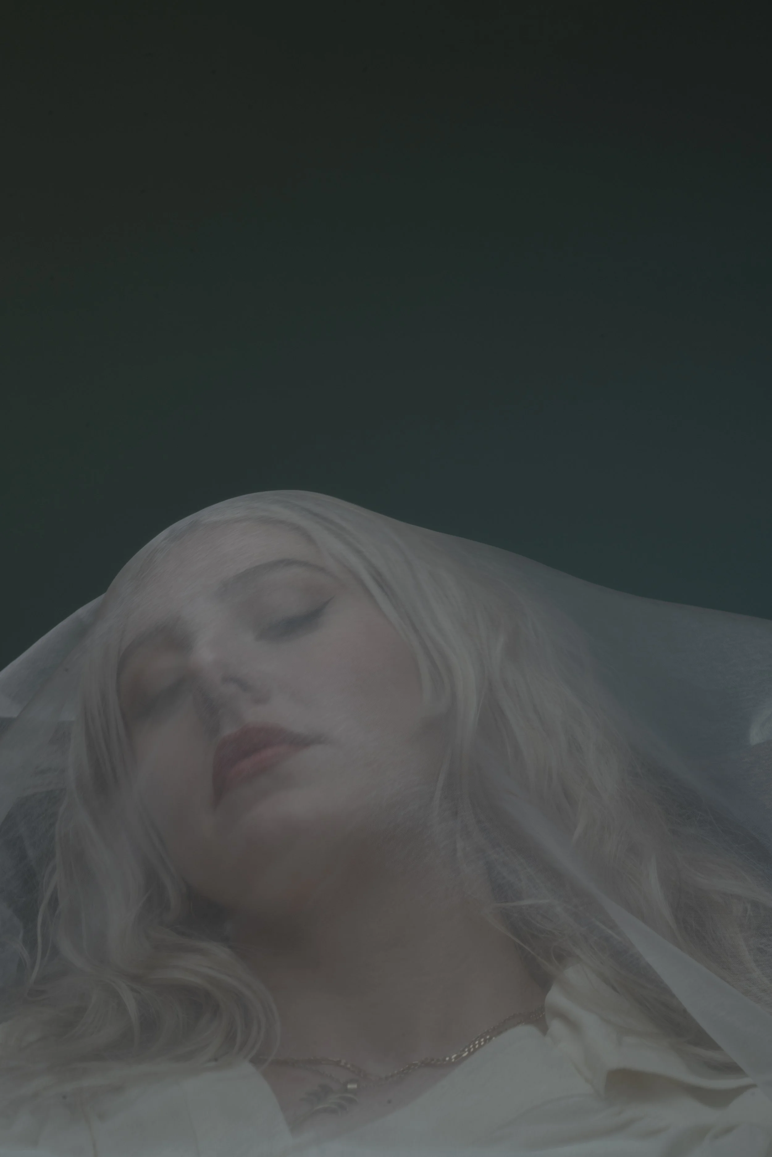 Capture One Catalog2521.jpg