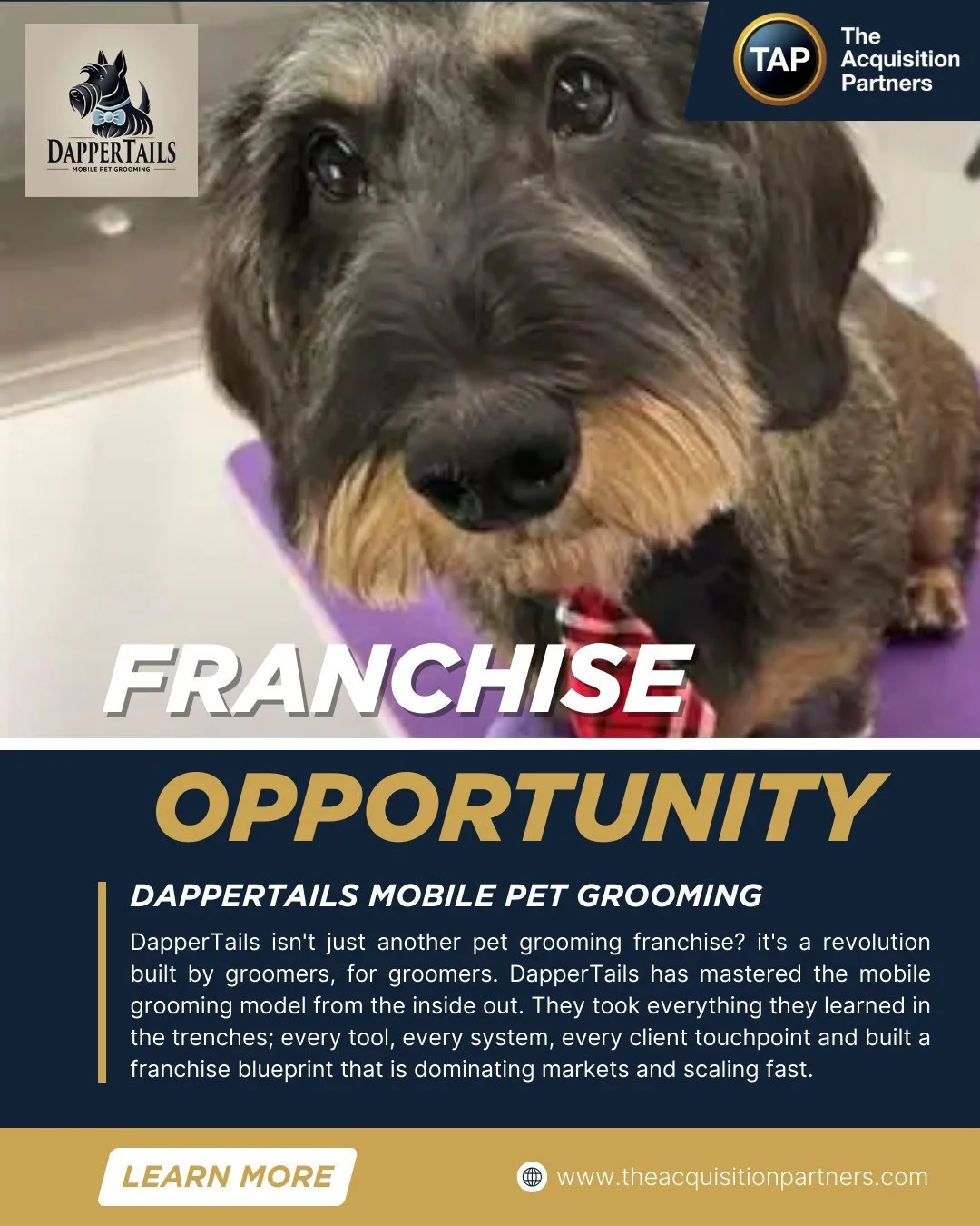 Grooming that comes to them. On-the-go convenience, premium experience, loyal pet parents, and repeat schedules. Build a route of happy pups and five-star reviews. Visit our website to schedule a conversation and learn more!
.
.
.
#petgrooming #mobil