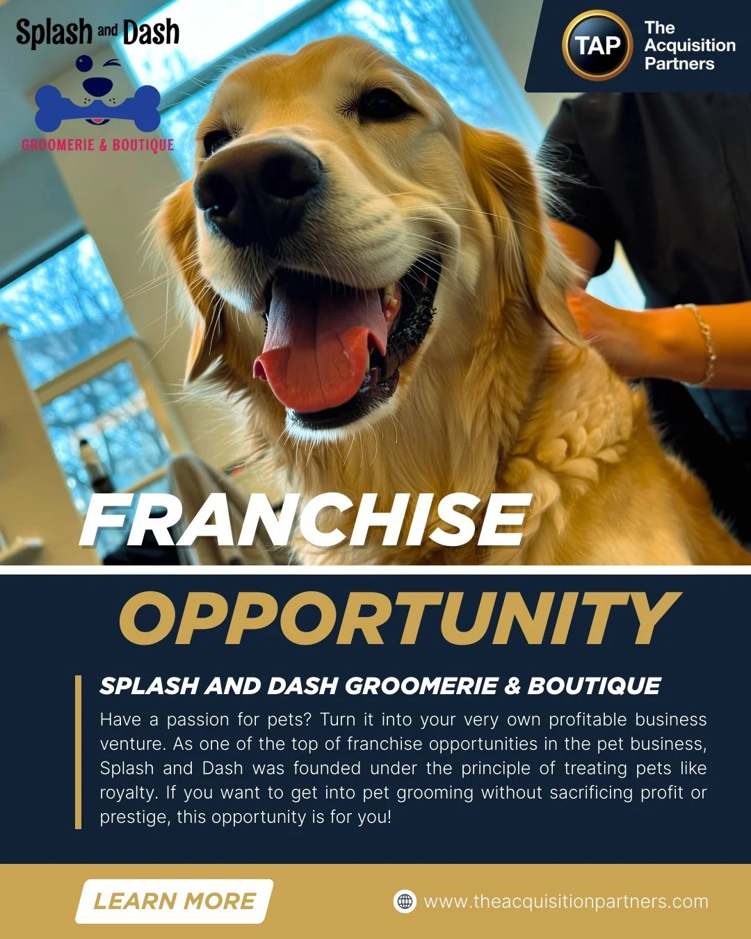 Turn Your Love for pets into a thriving business! 
Splash and Dash Dog Groomery is expanding&mdash;and they are looking for passionate franchisees ready to dive into a rewarding, recession-resilient industry! Splash &amp; Dash has a: Proven Business 