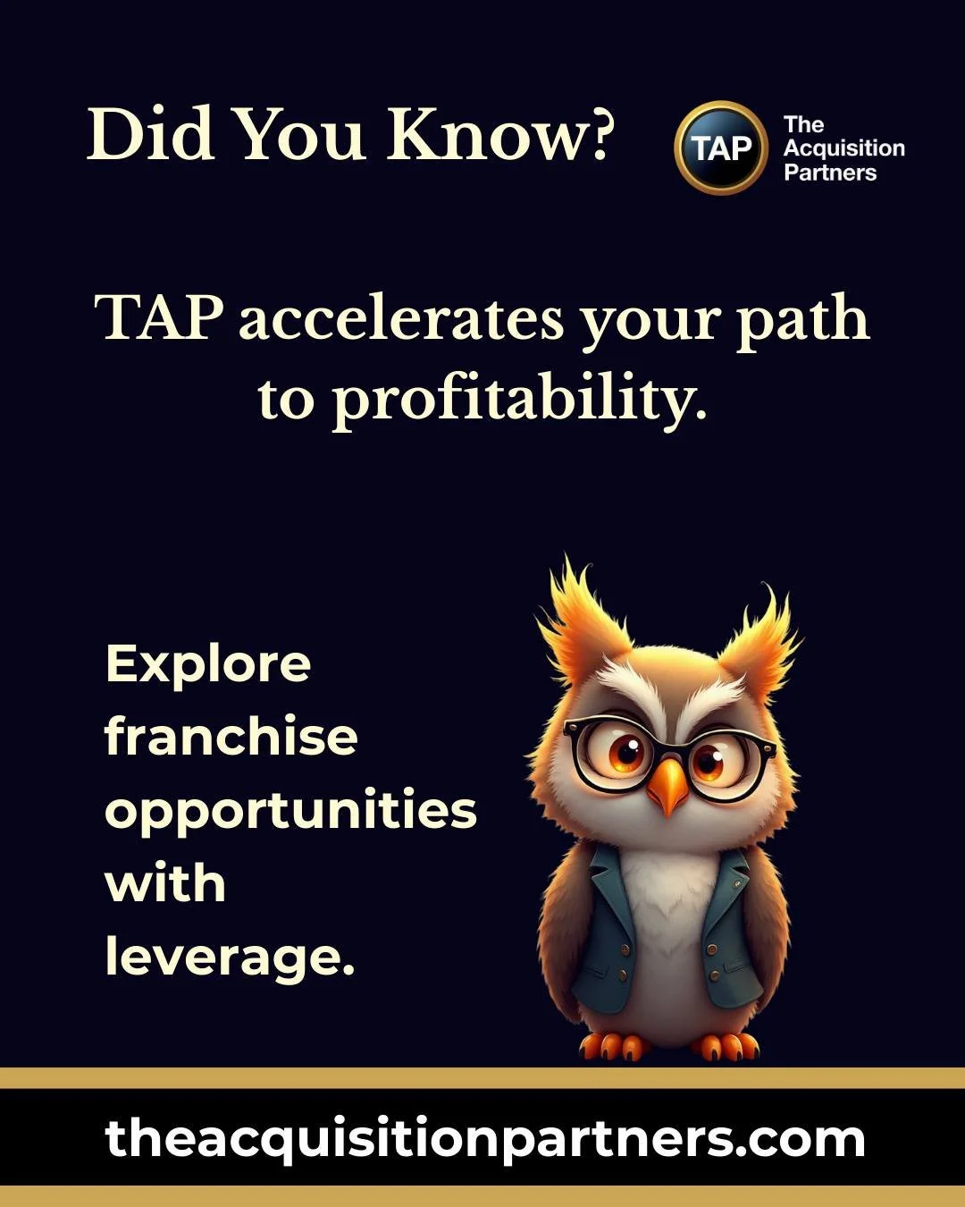 We don&rsquo;t just help you find a franchise. We invest in your success. TAP is the only franchise platform that combines proprietary matching, direct capital investment, vendor partnerships, and year-one coaching to accelerate your path to profitab