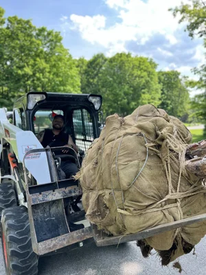 Bryland Landscaping photo 5