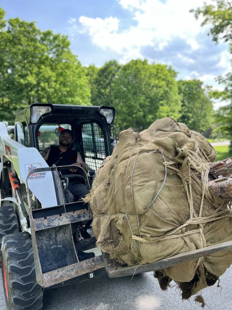 Bryland Landscaping photo 7