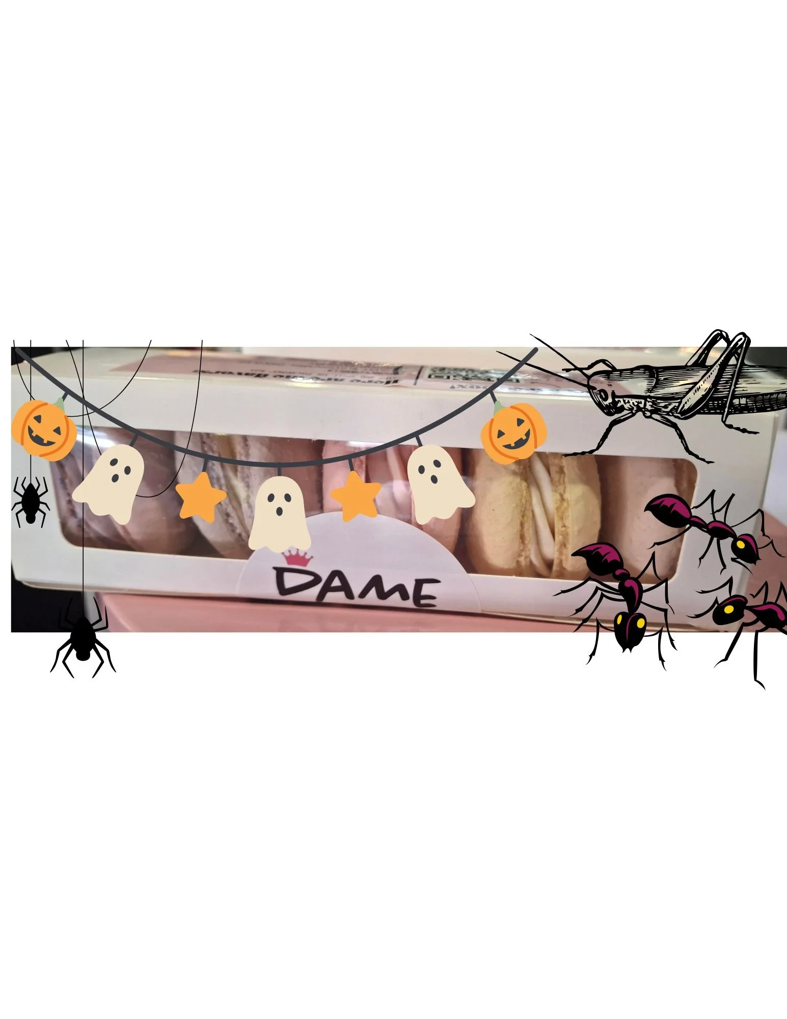 Scary Good Halloween Box + REAL BUGS!
